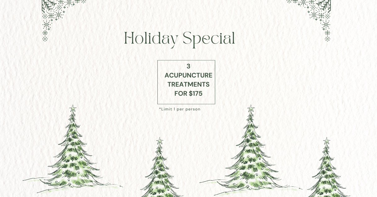 Green and White Modern Special Christmas Day Sale Poster (Facebook Ad).png