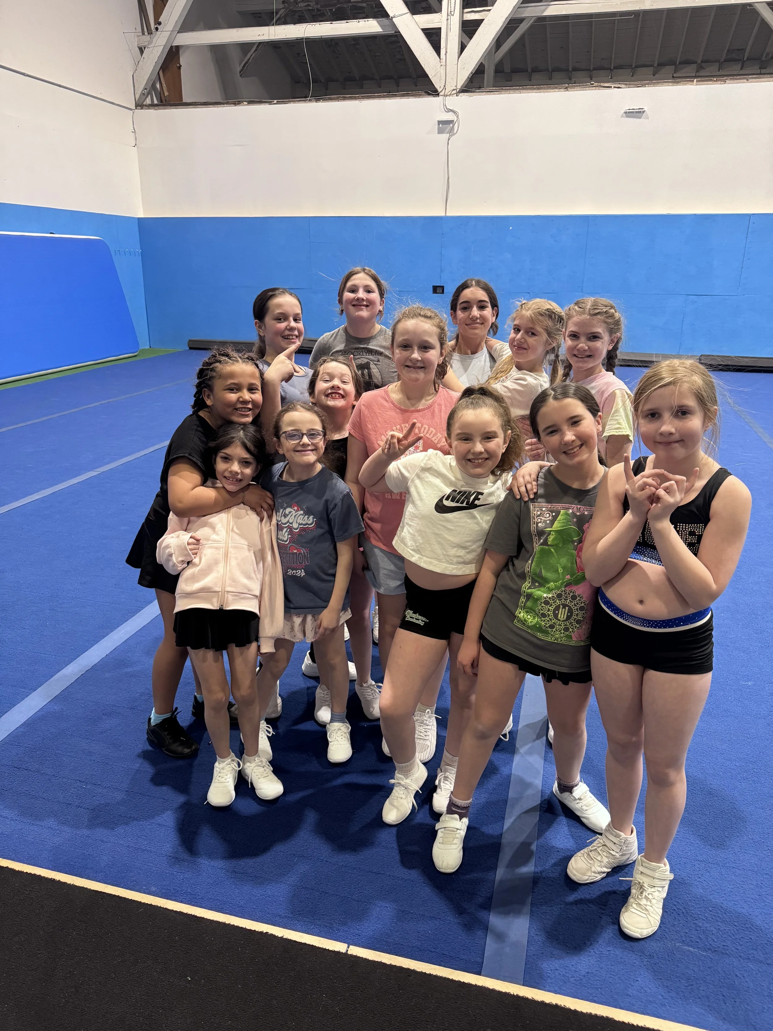 Two silver glittery pom-pom decorations on a white background.