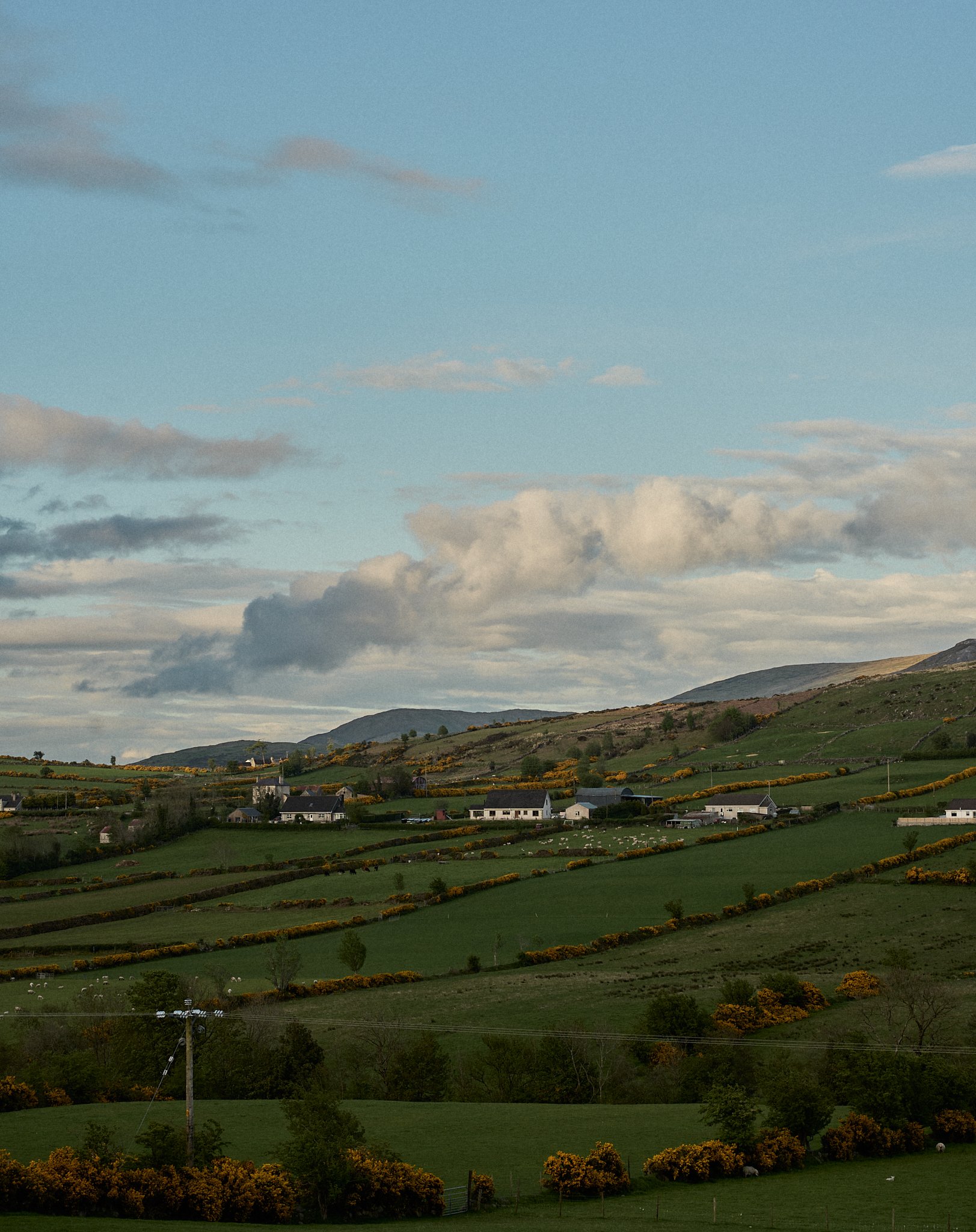 SMR07476.jpg