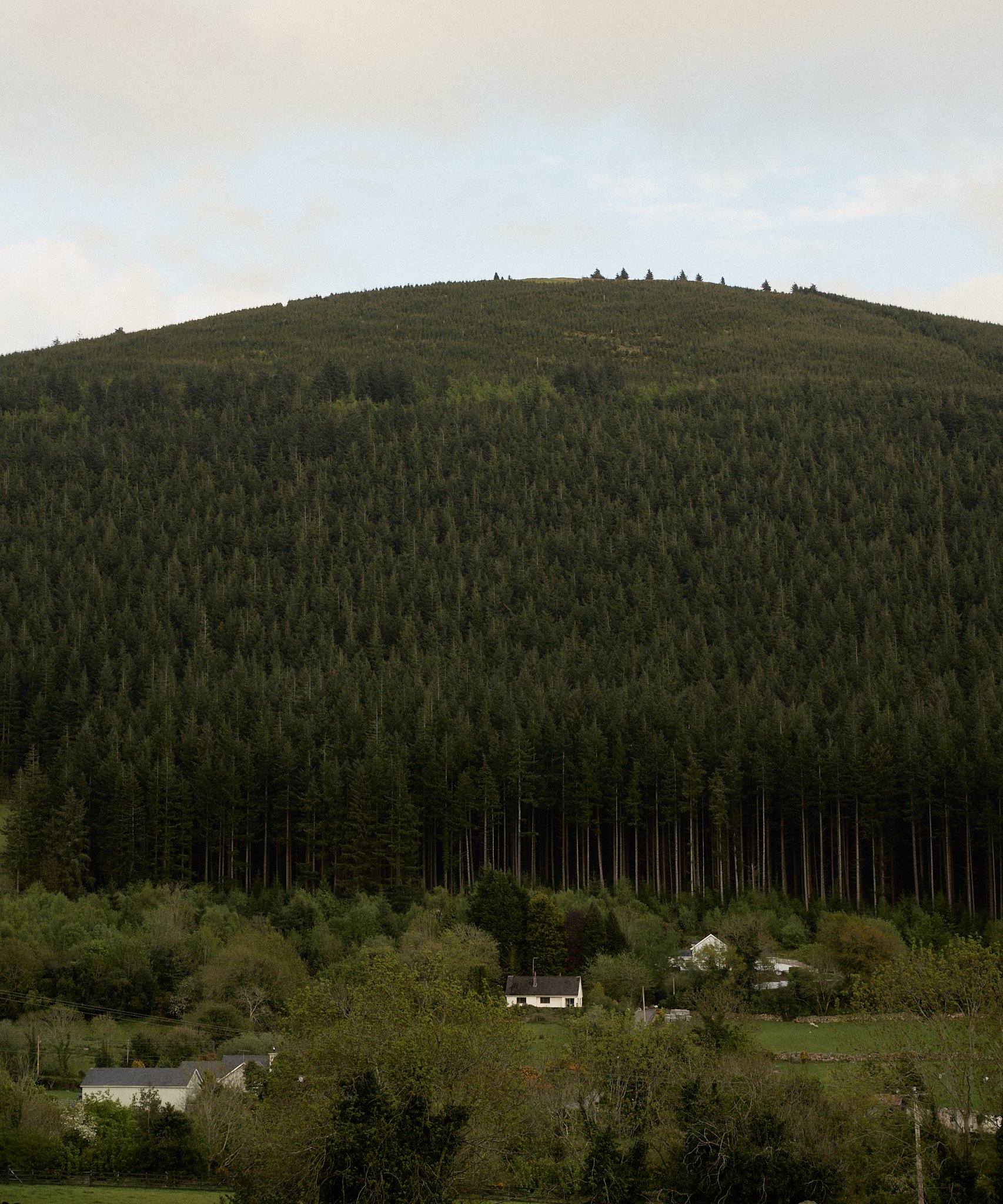 SMR07433.jpg