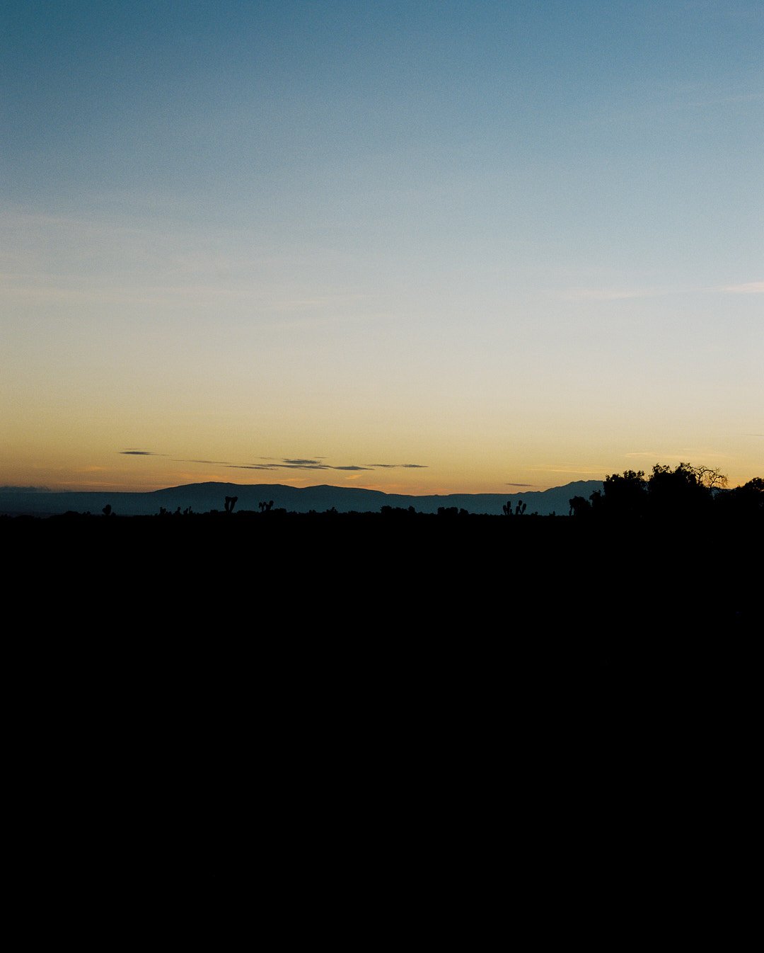 1033025283-R1-007.jpg