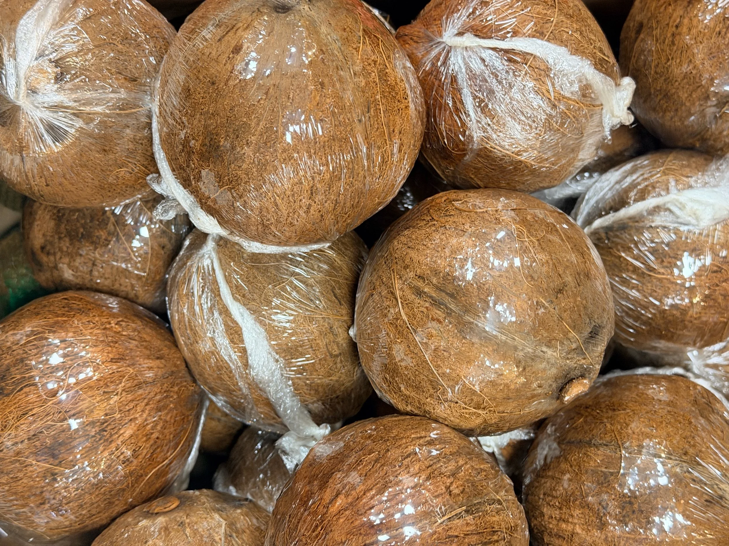 COCONUT APPLE (5 per pack )