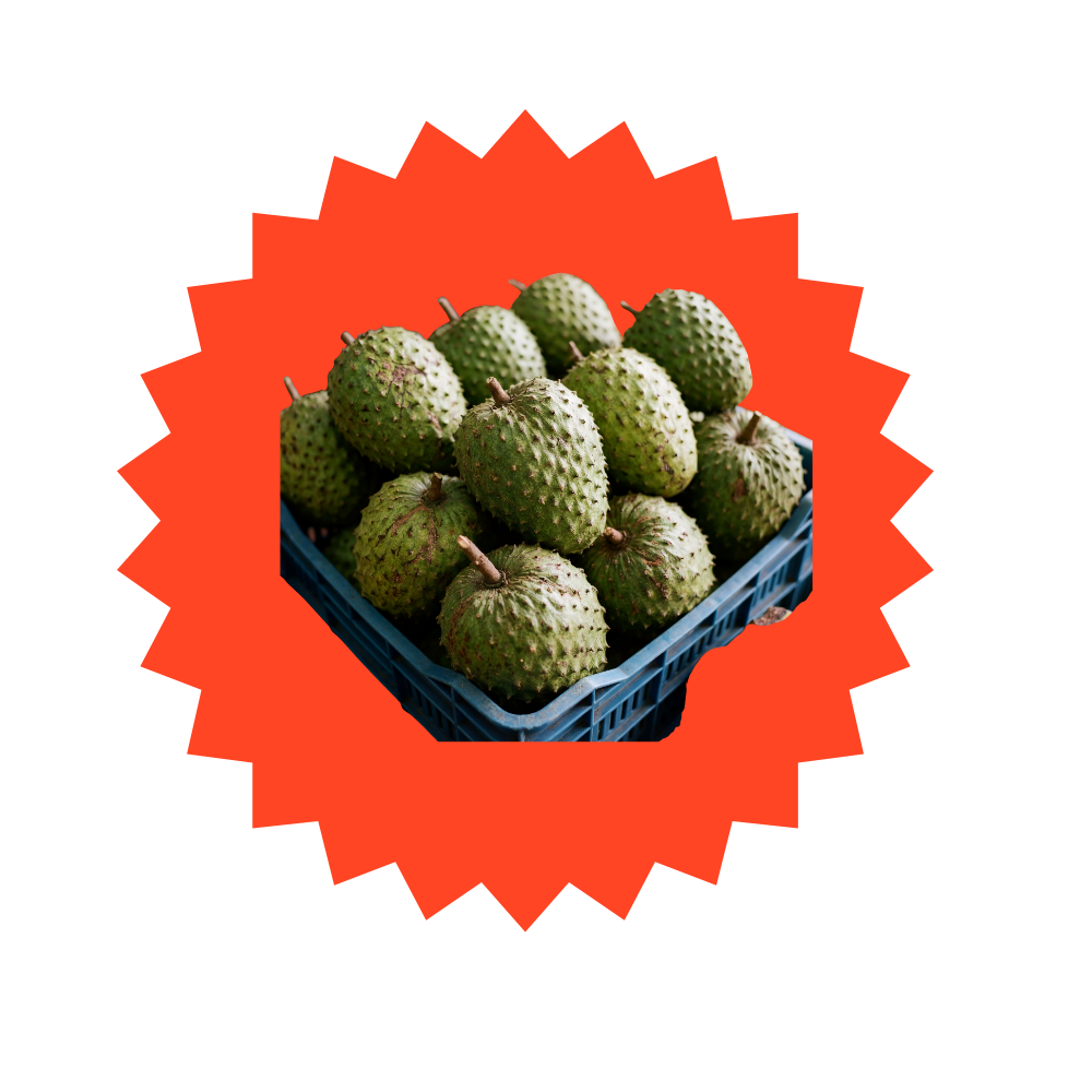 SOURSOP