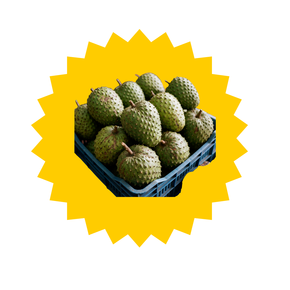 SOURSOP