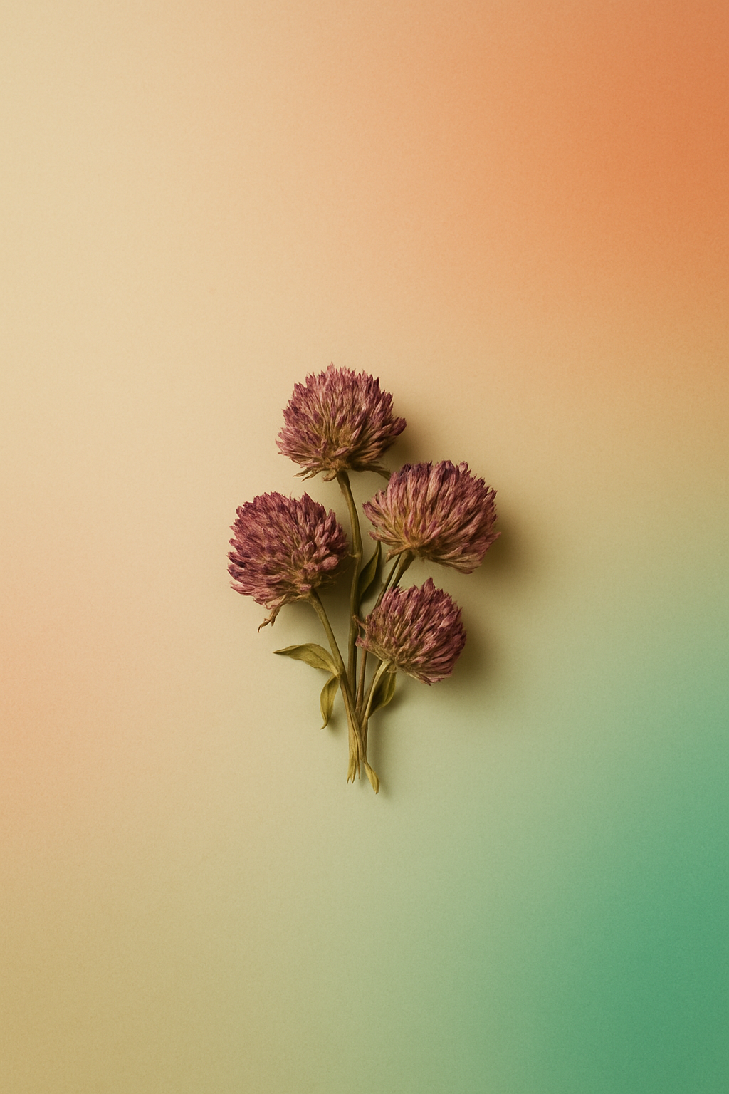 Red Clover.png