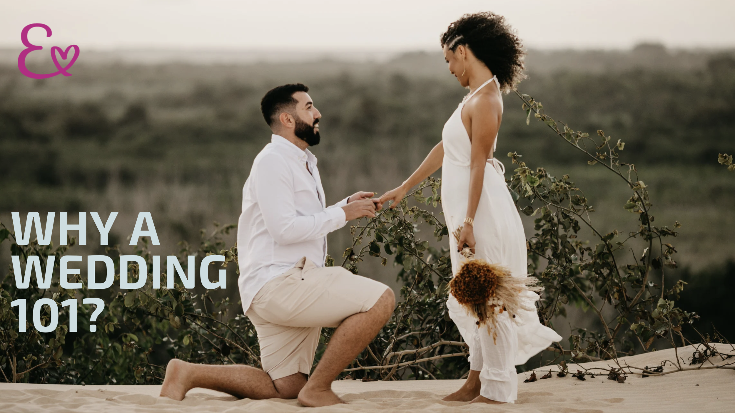 Why a Wedding 101?