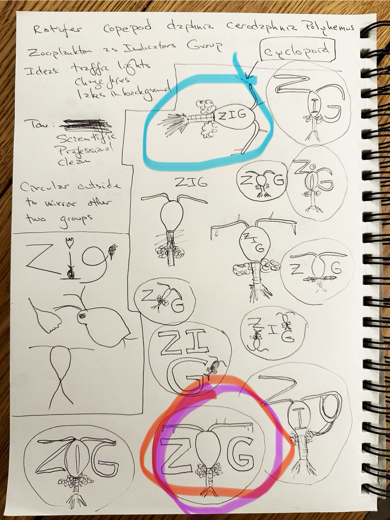 The client chose these directions