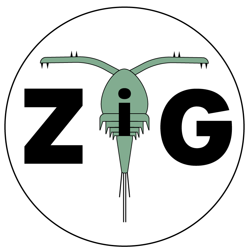Early iteration in Illustrator