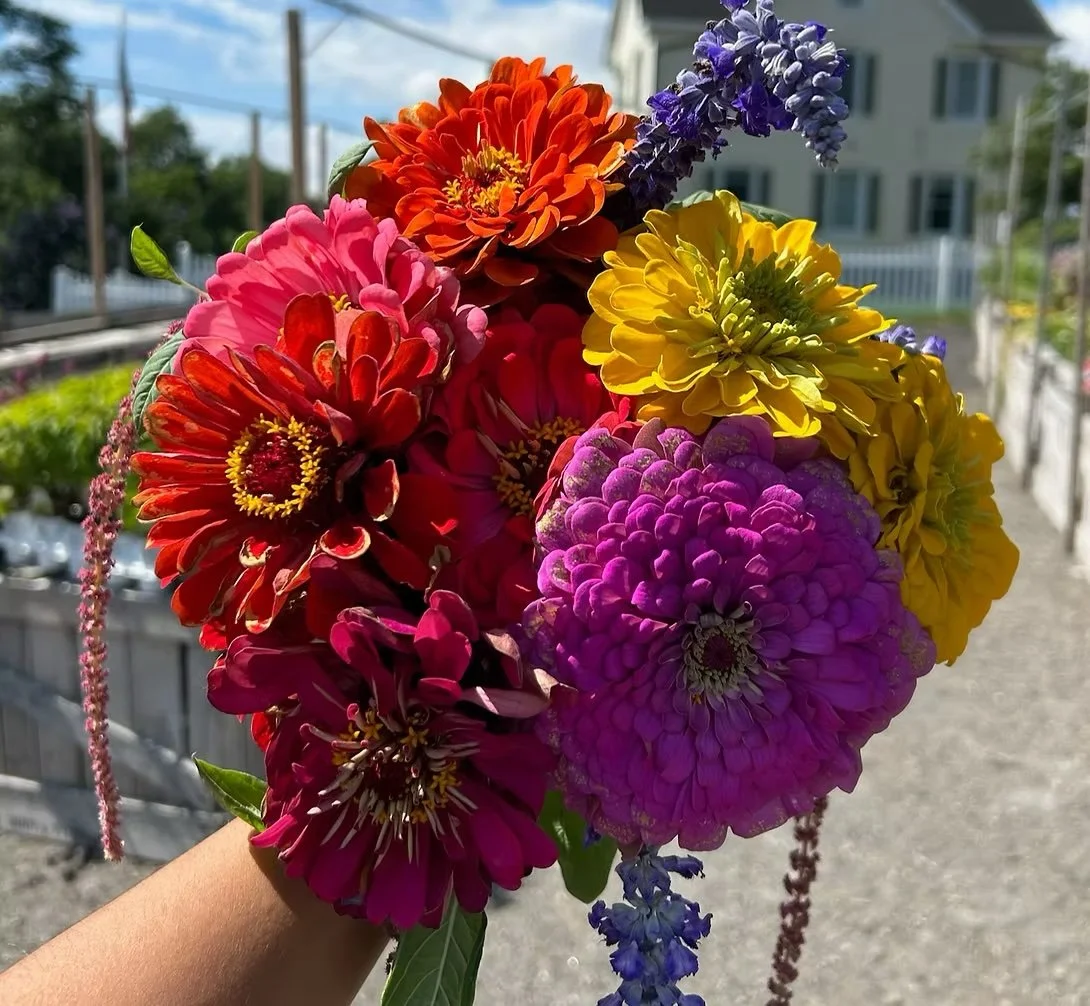 Freshly picked flowers at a Hudson Valley flower farm near Tuxedo