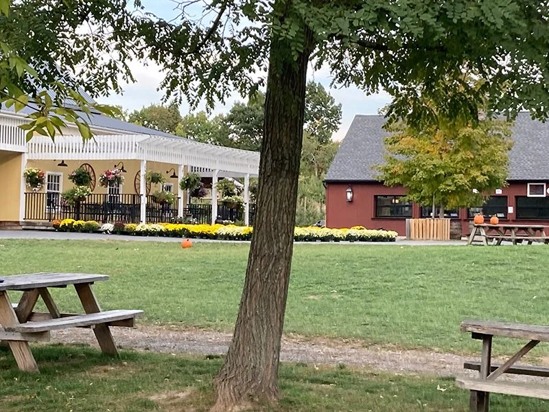 4 Farms Near Tuxedo That Are Perfect for a Springtime Visit