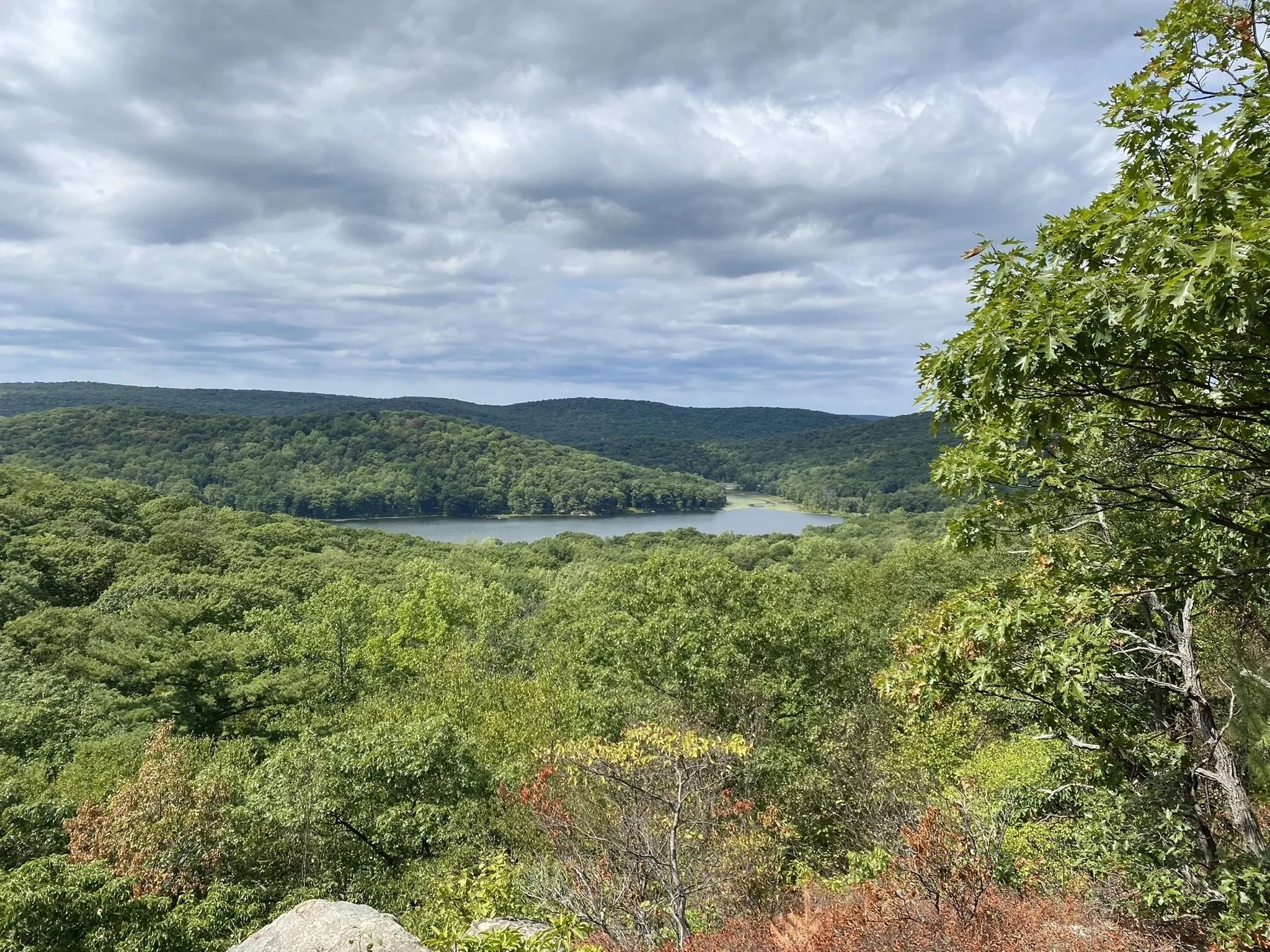 5 Stunning Hiking Trails You Can Complete Before Lunch