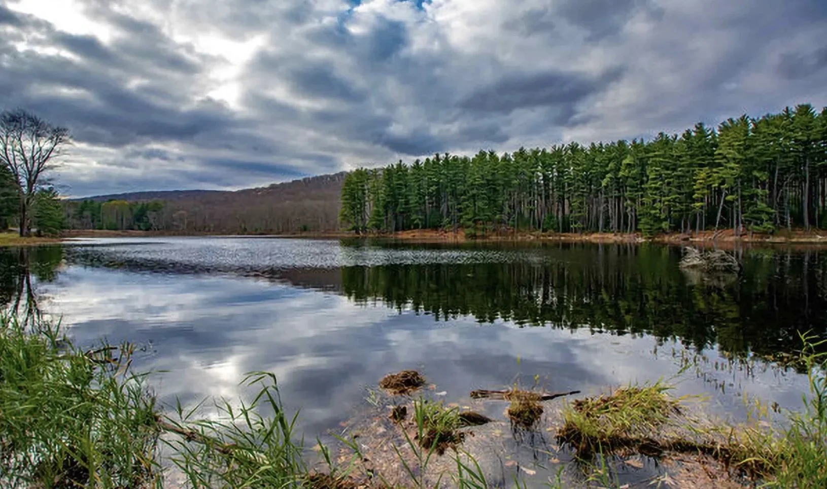 The Best Family-Friendly Activities to Do Around Tuxedo