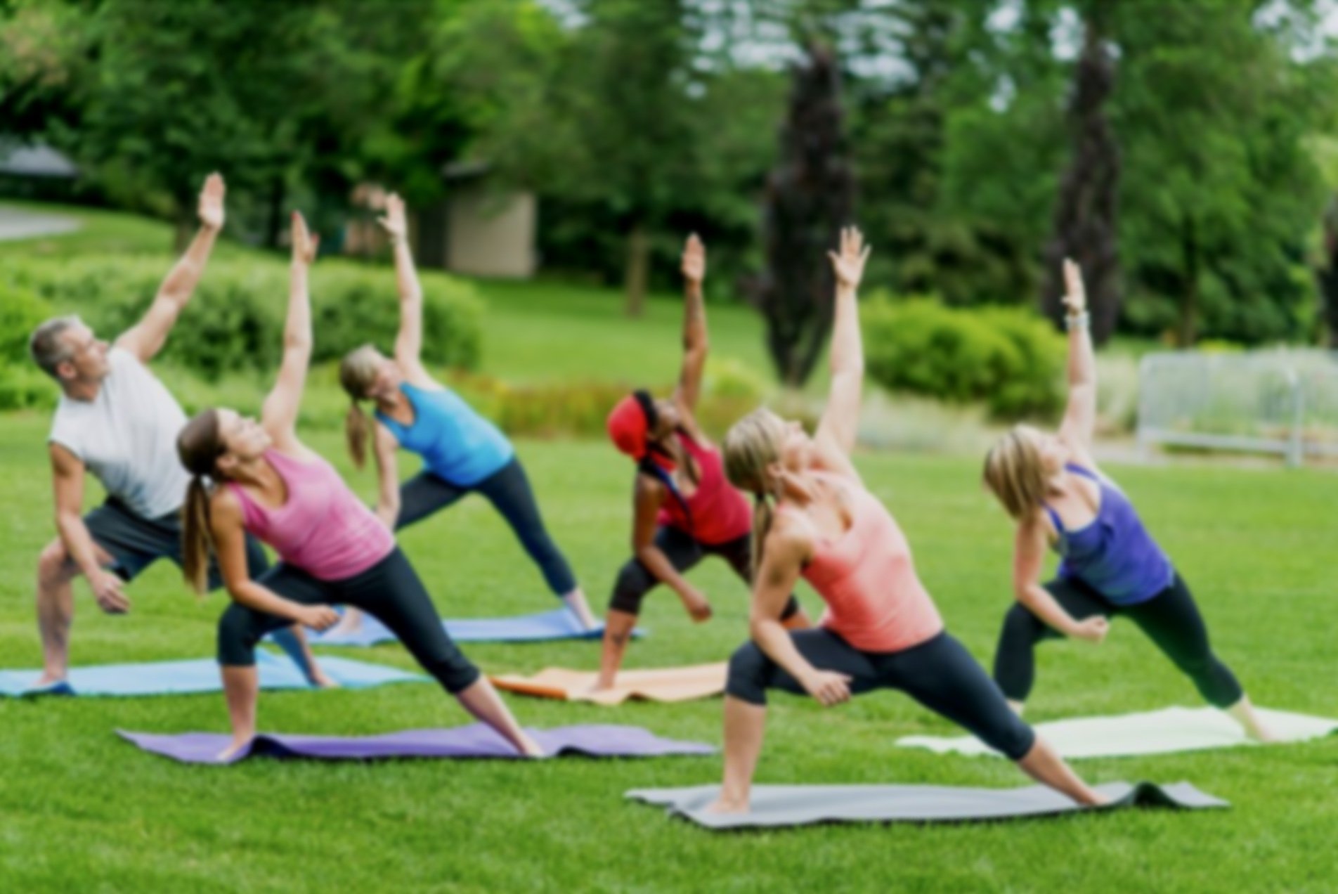 Yoga On The Village Green. Tuxedo Reserve.jpg