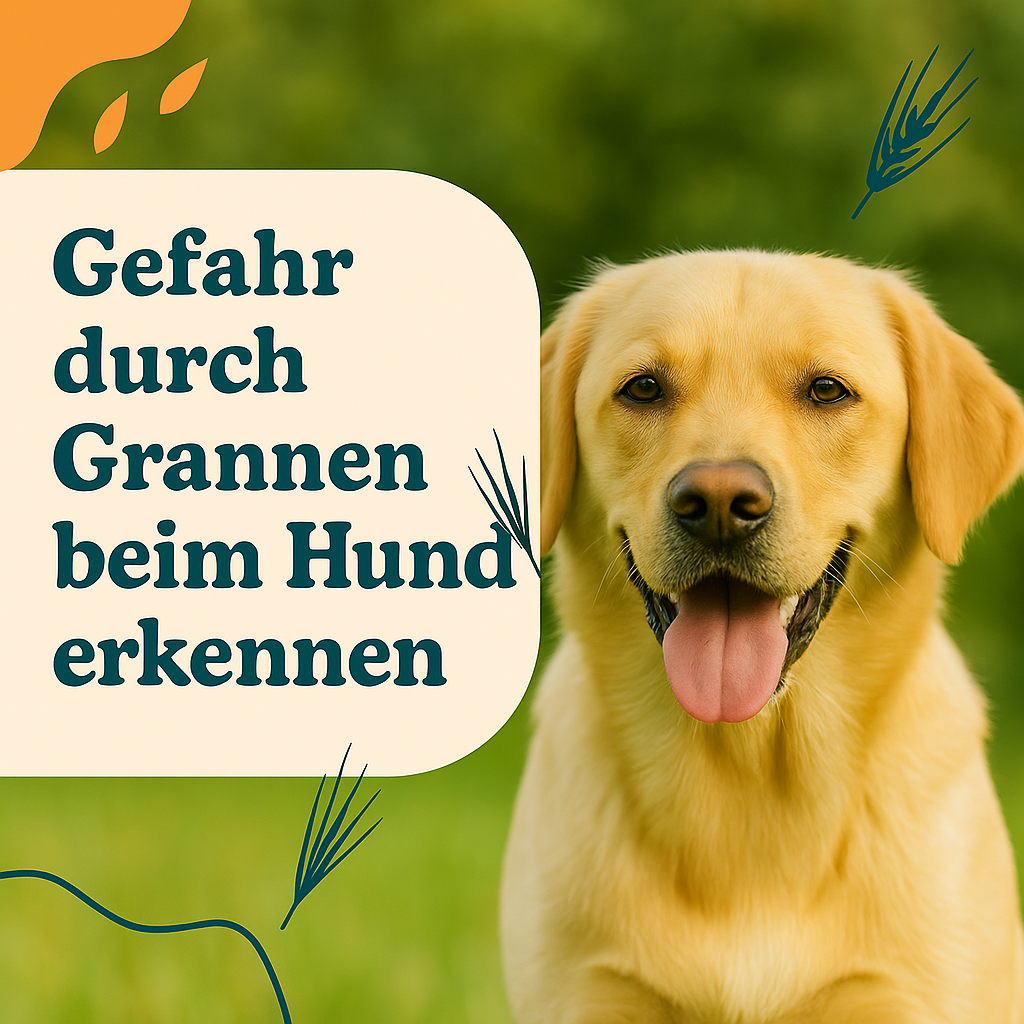 🌾Grannen beim Hund: Klein, aber gefährlich!🐶⚠️