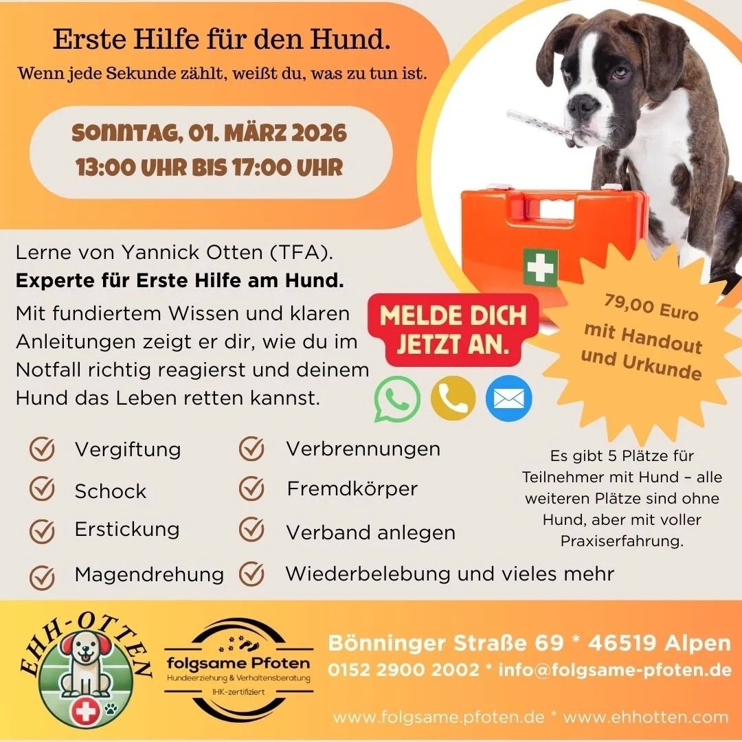 Erste-Hilfe am Hund