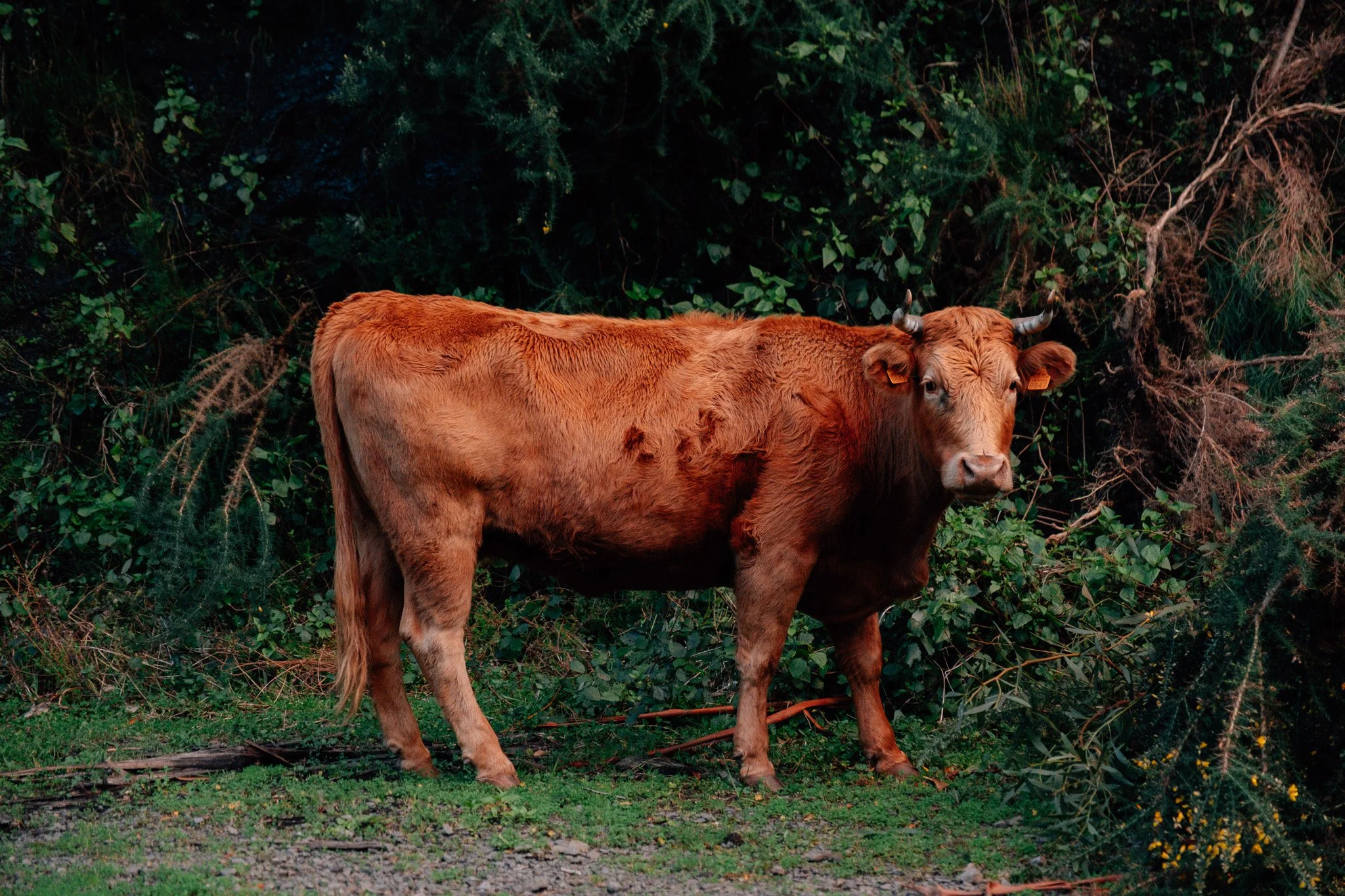 DSCF9849.jpg