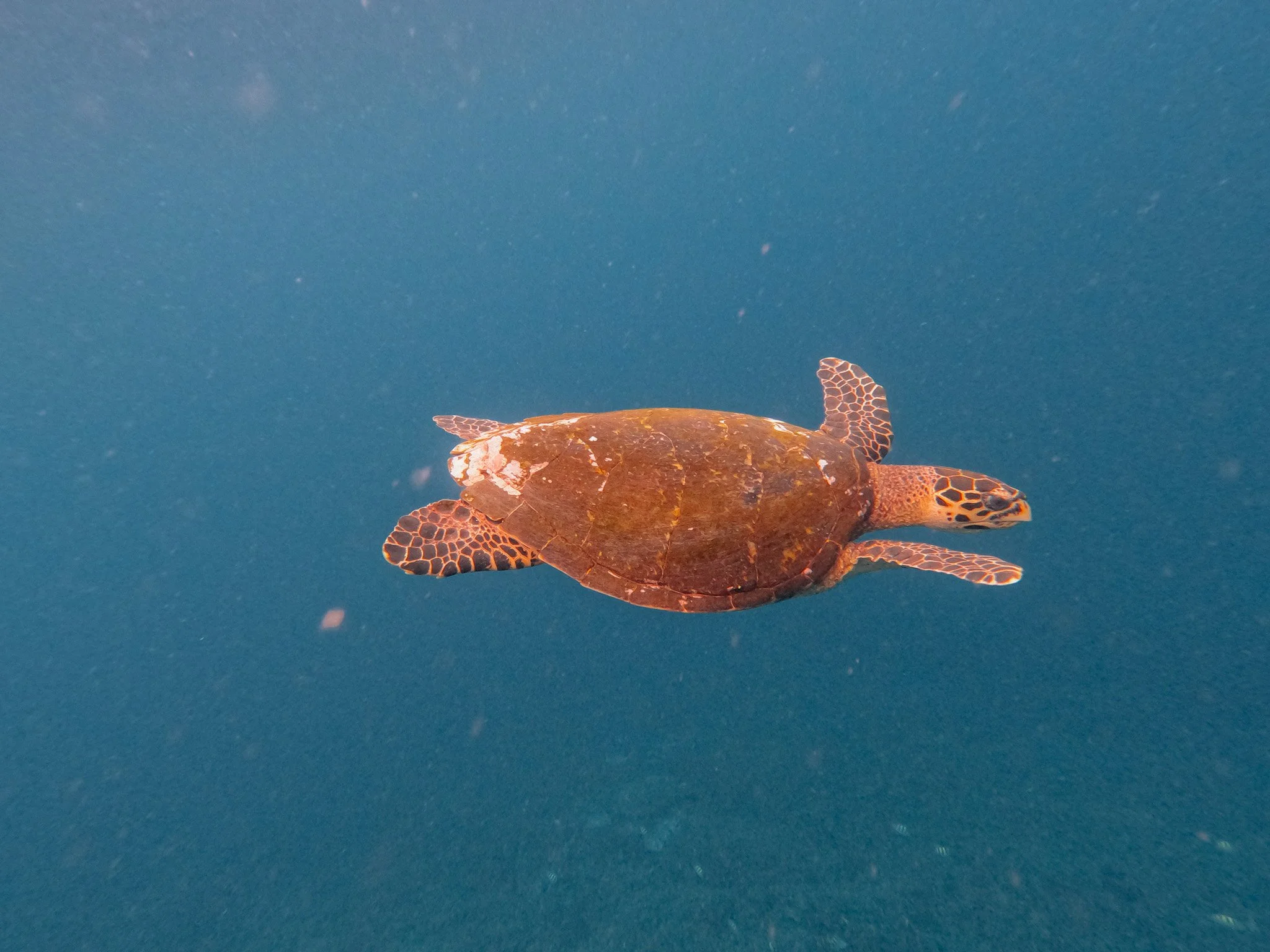 GOPR0169.jpg