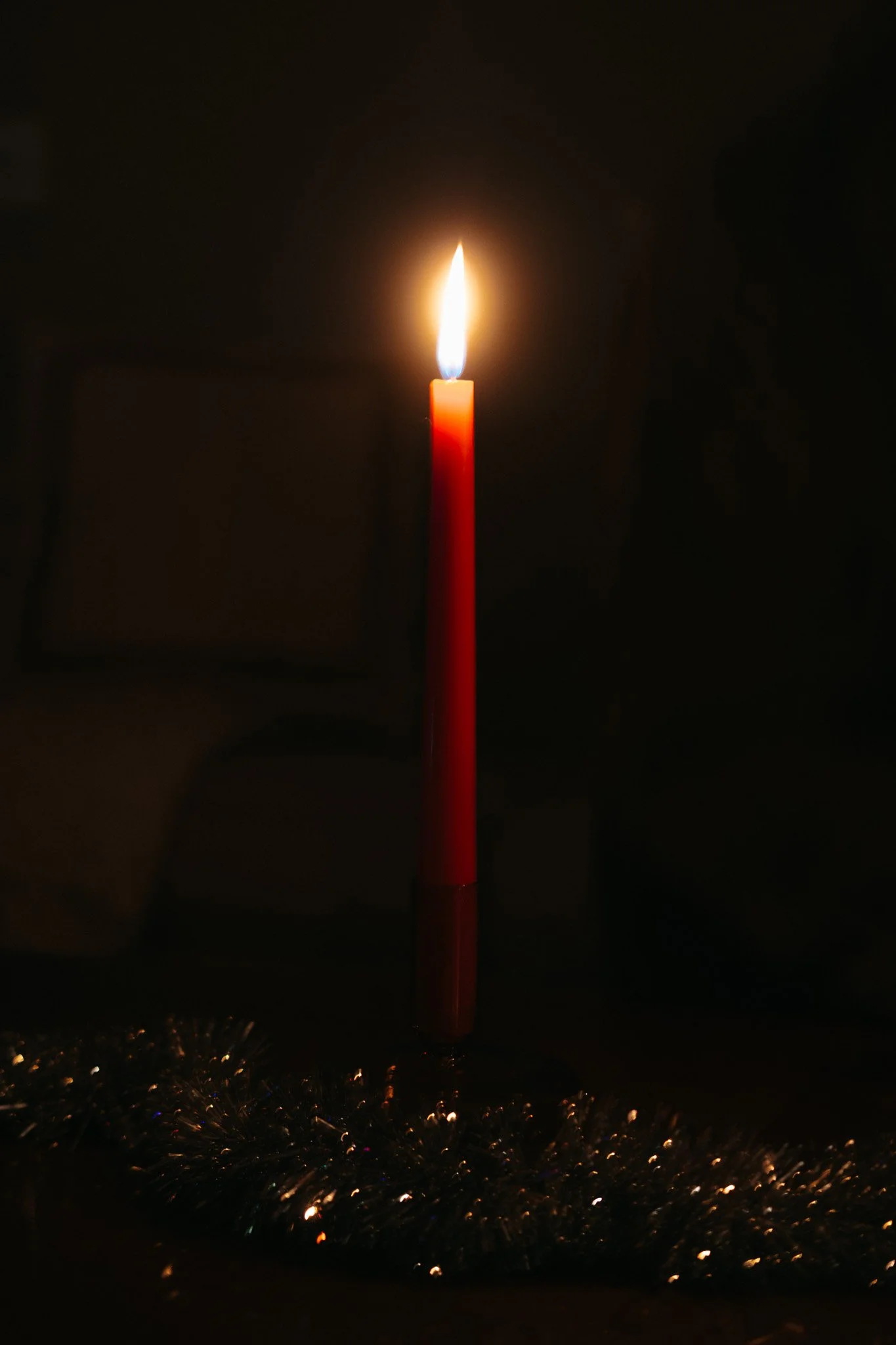 DSCF8481.jpg