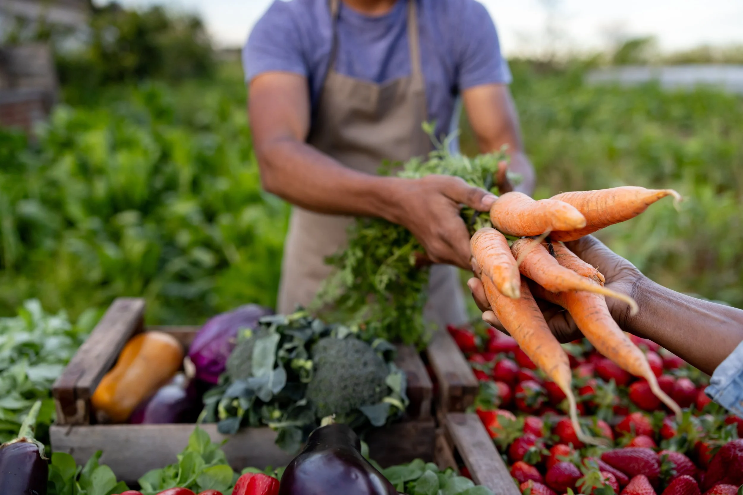 The Art of Shopping Local—Finding the Best Ingredients in Your Community