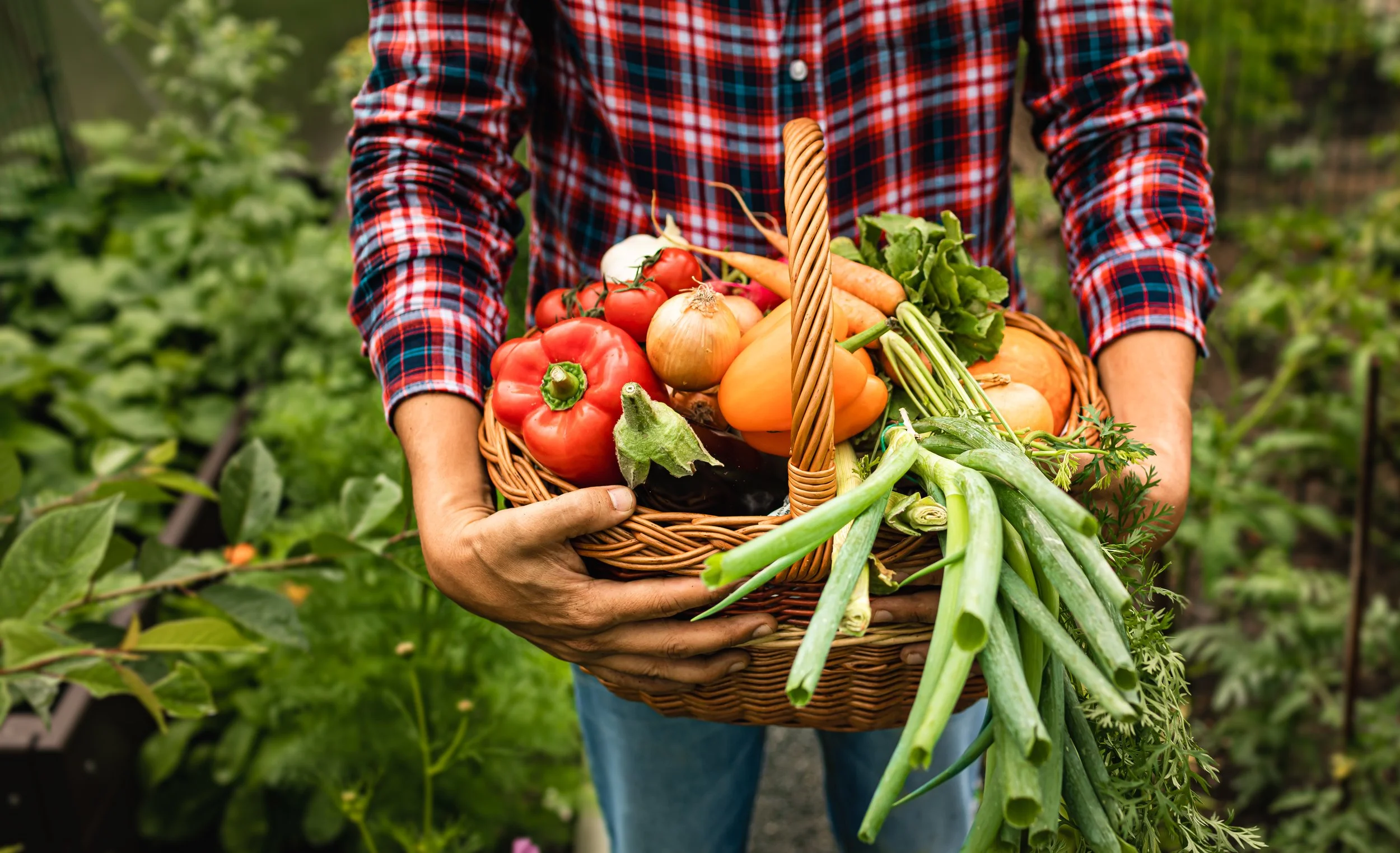The Dance of the Harvest—Eating with the Rhythm of the Season