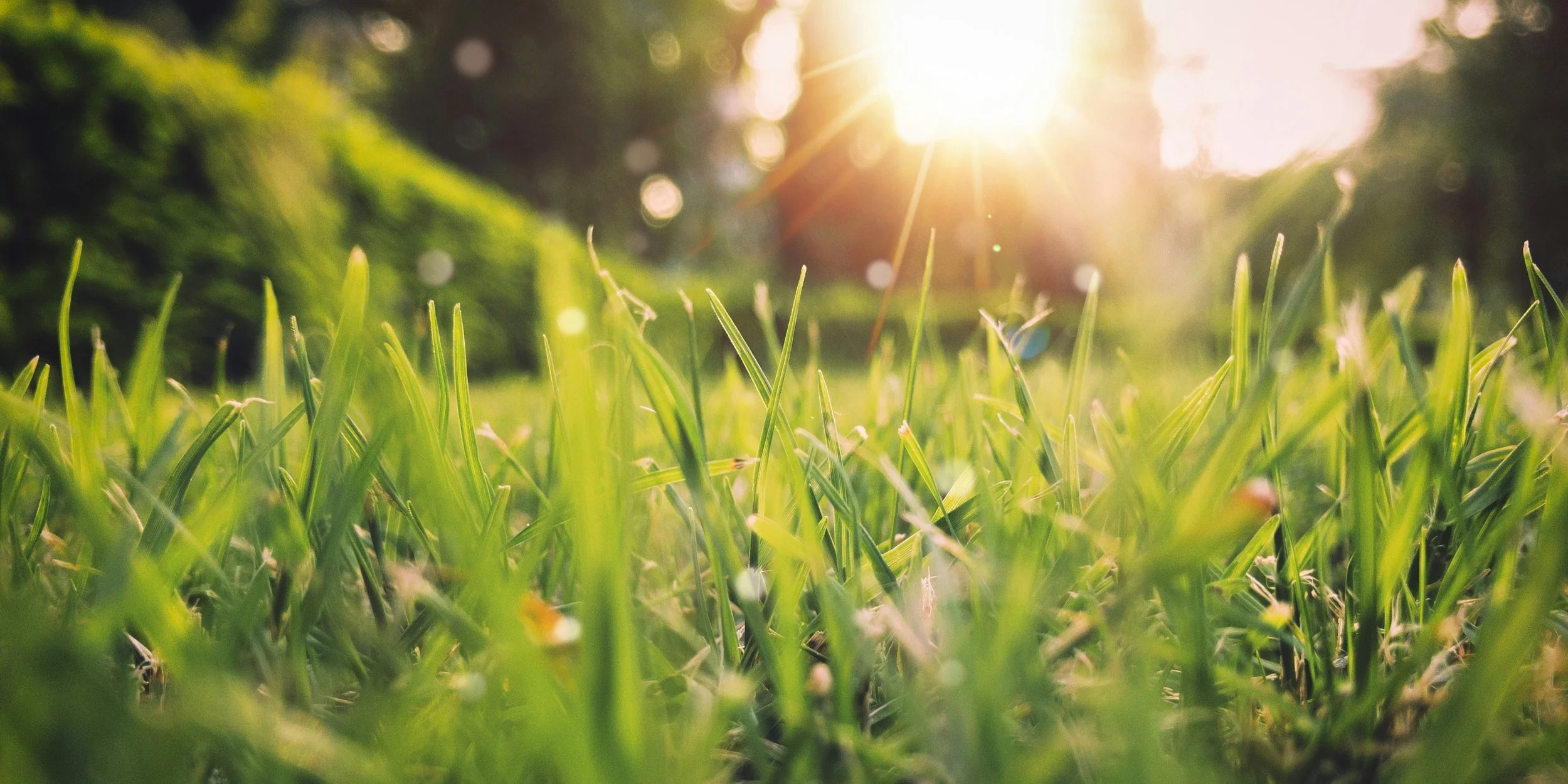 Understanding Planting Schedules—Using the Almanac and Hardiness Zones