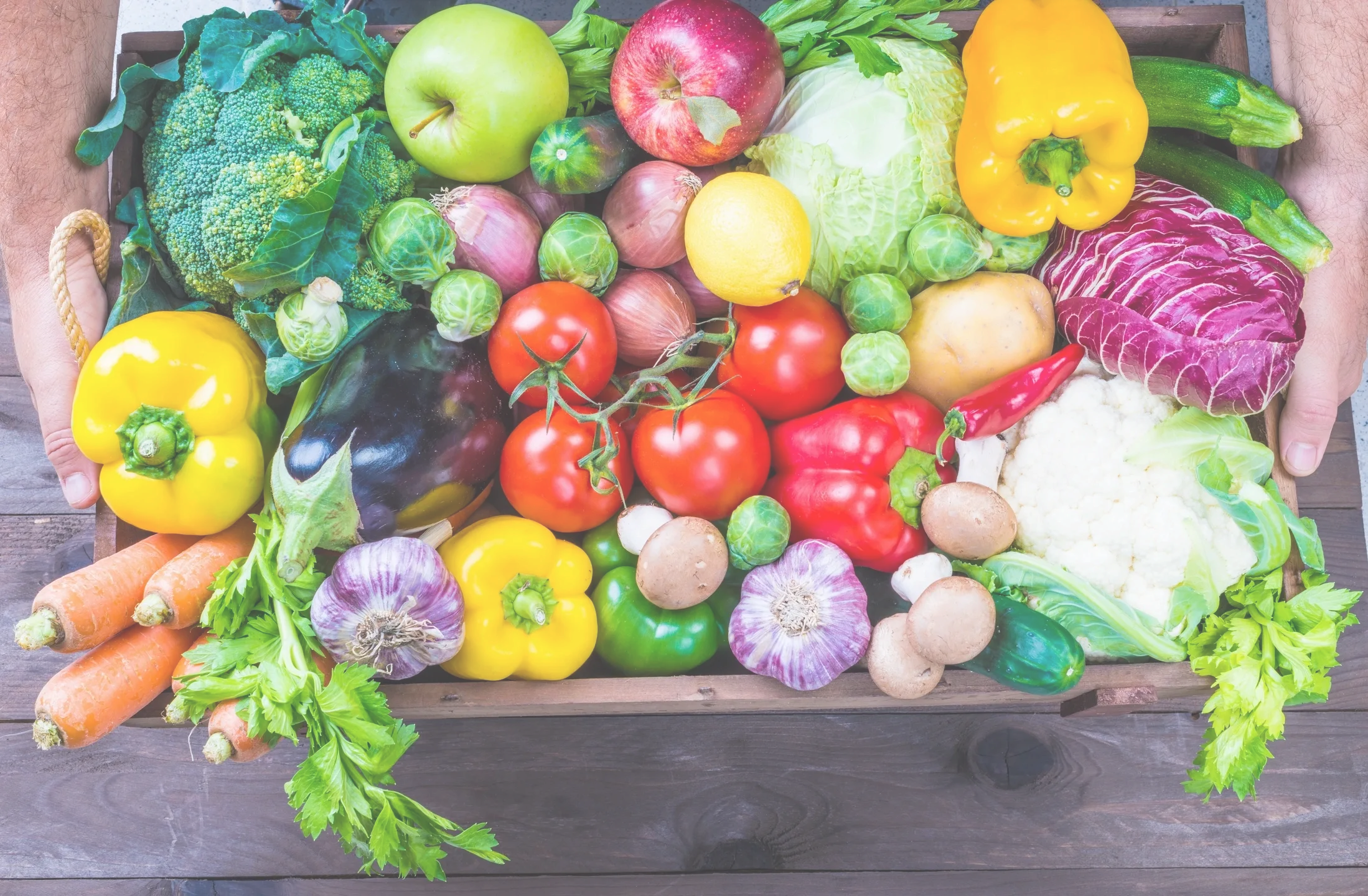 Ensuring No Harvest Goes to Waste—The Importance of Sharing Food with Those in Need