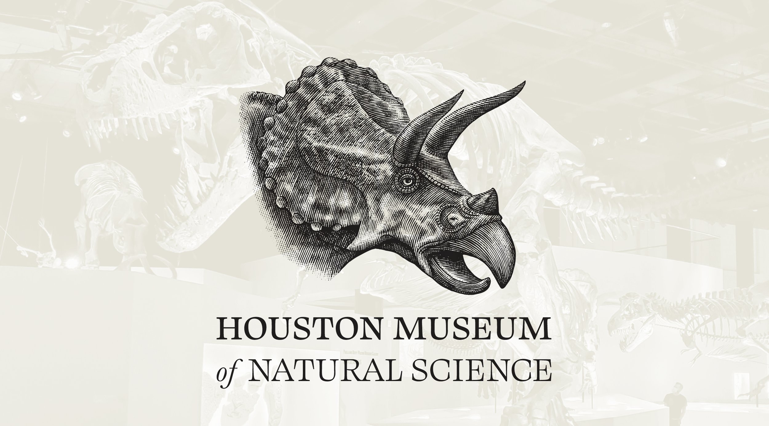 Triceratops-logo-on-image.jpg