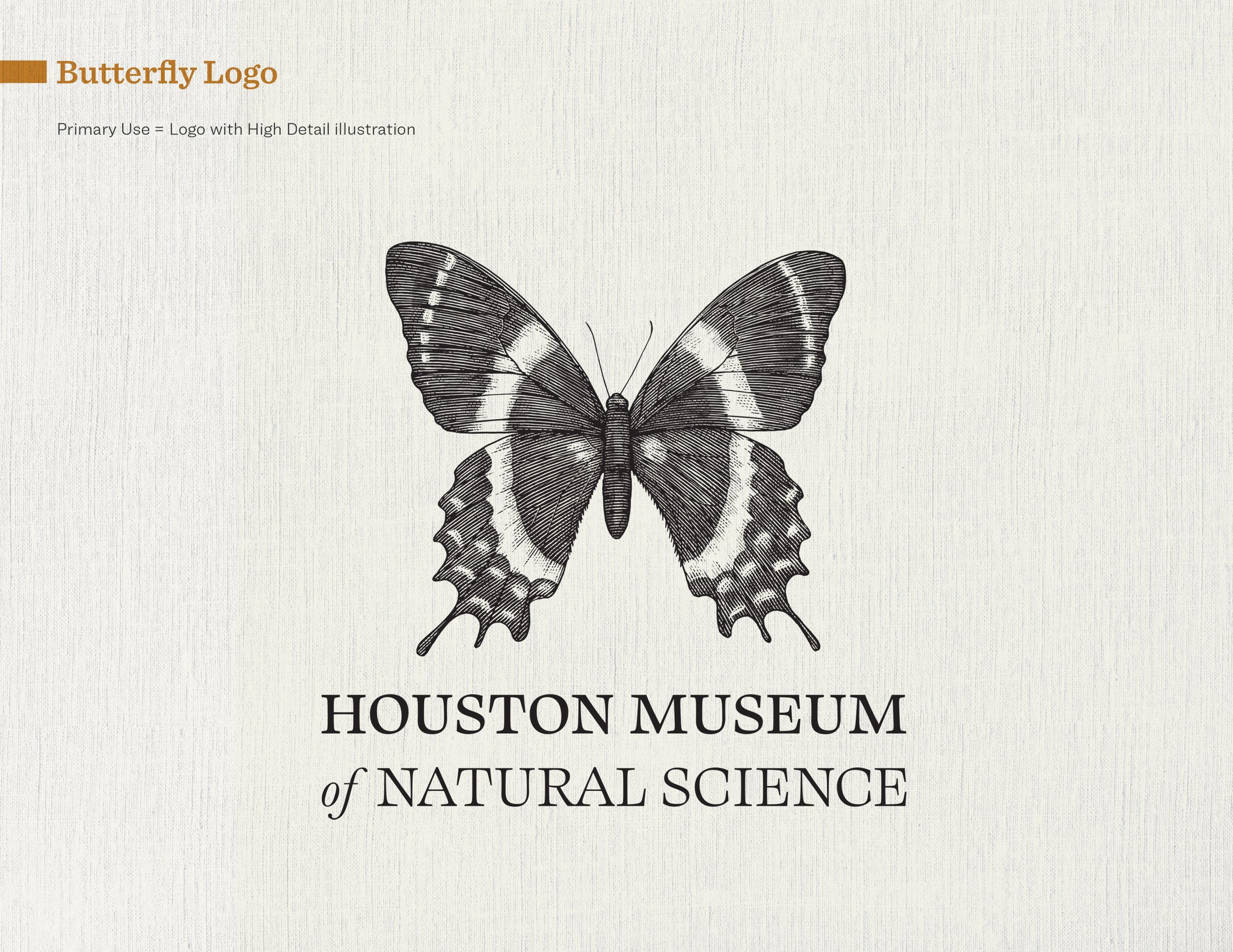 HMNS brand guides-butterfly55.jpg