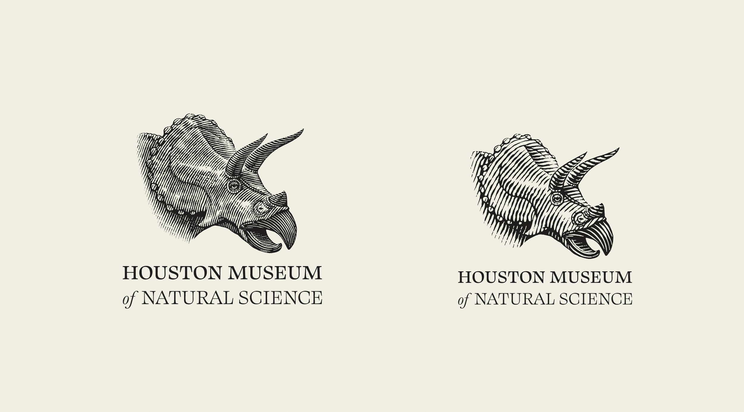 Triceratops-med-and-low.jpg