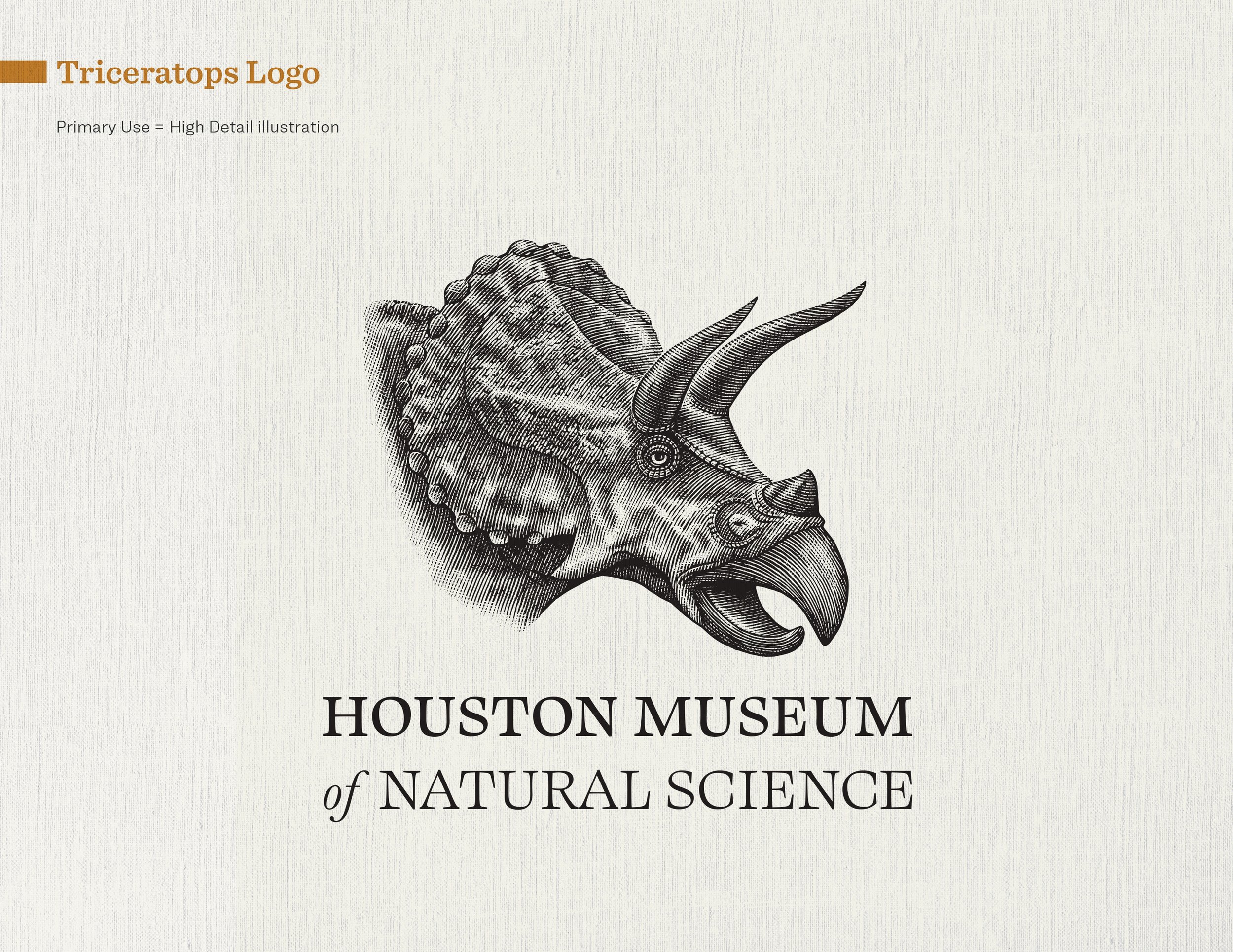 HMNS brand guides_triceratops55.jpg
