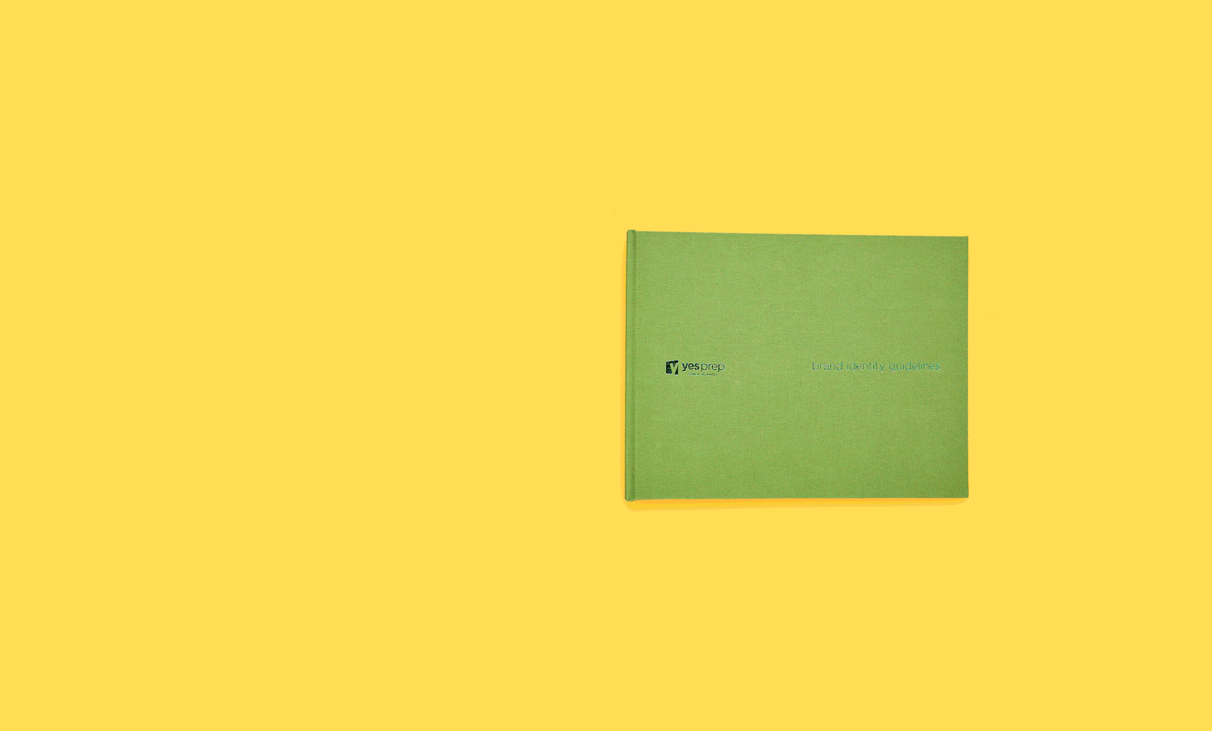 TAN_YES_largehorizontal_guidlinesbook.gif