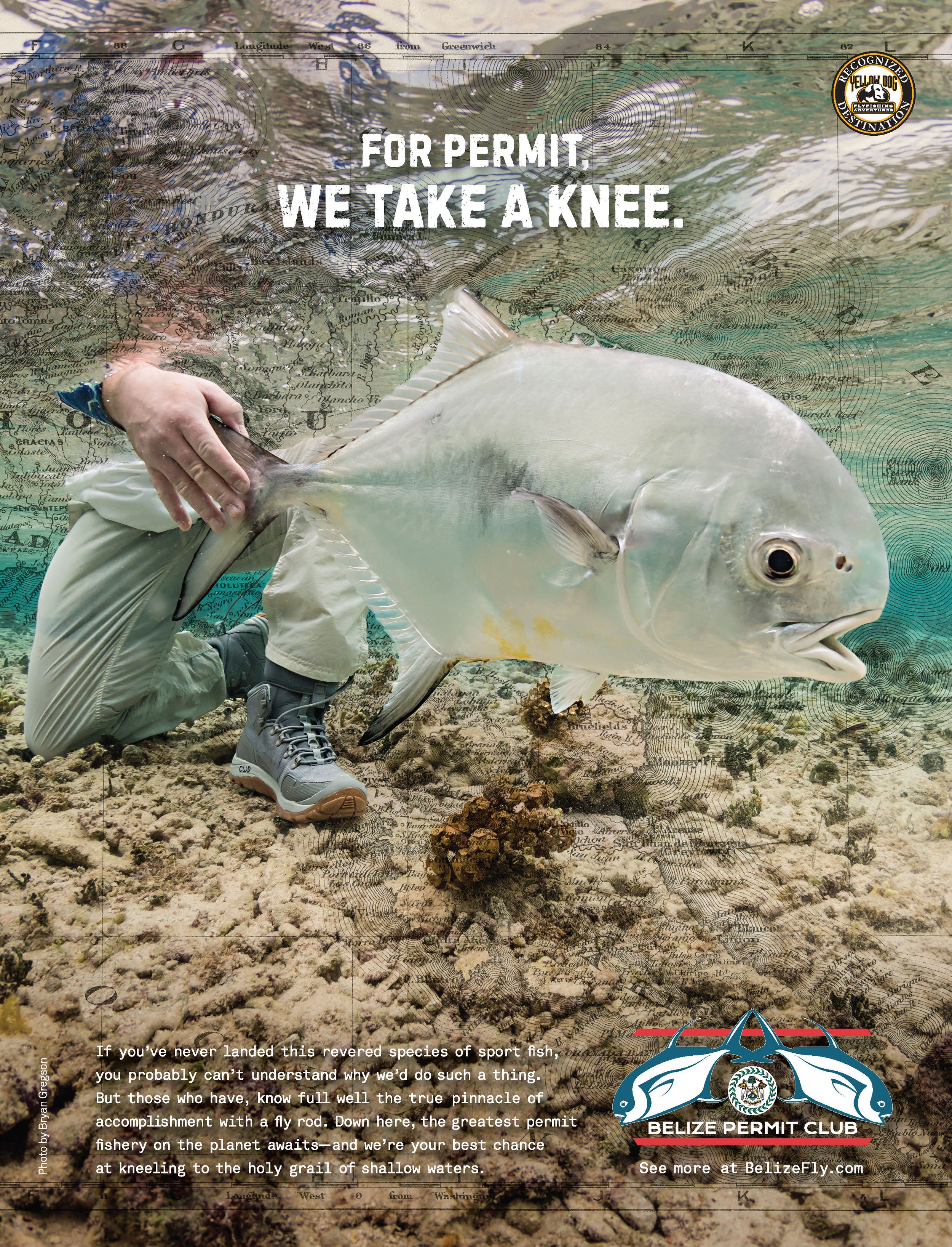Belize Permit Club_Drake_ad_Knee.jpg