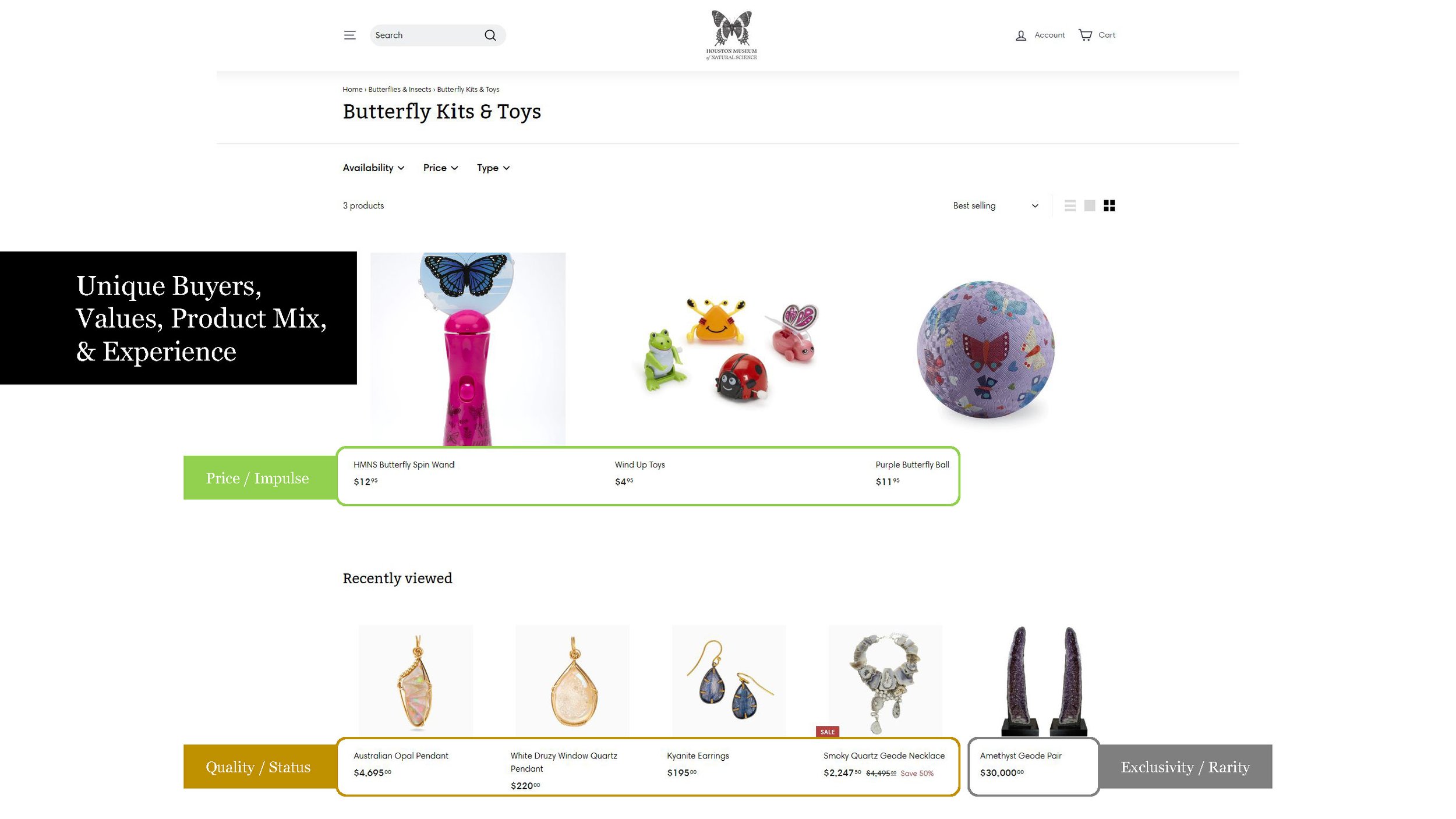 HMNS-Store-Sales-Growth_v2.pptx_Page_06.jpg