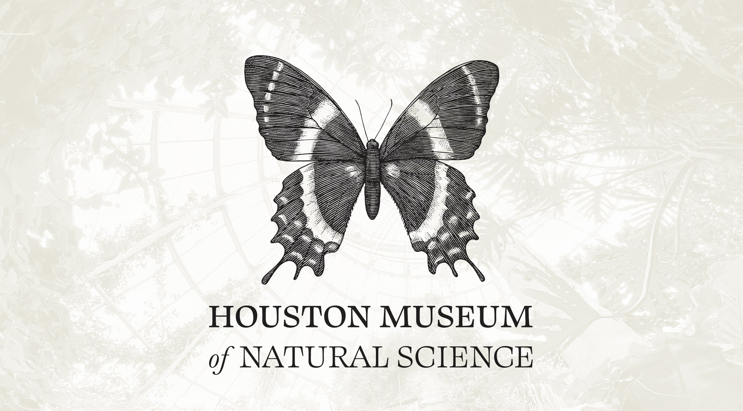 Butterfly-logo-over-image.jpg