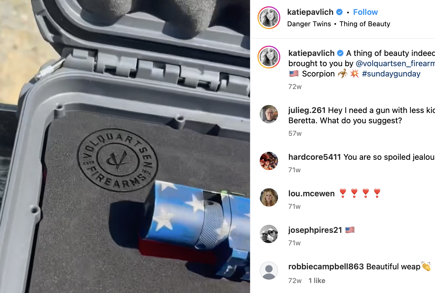 gun case interior.png