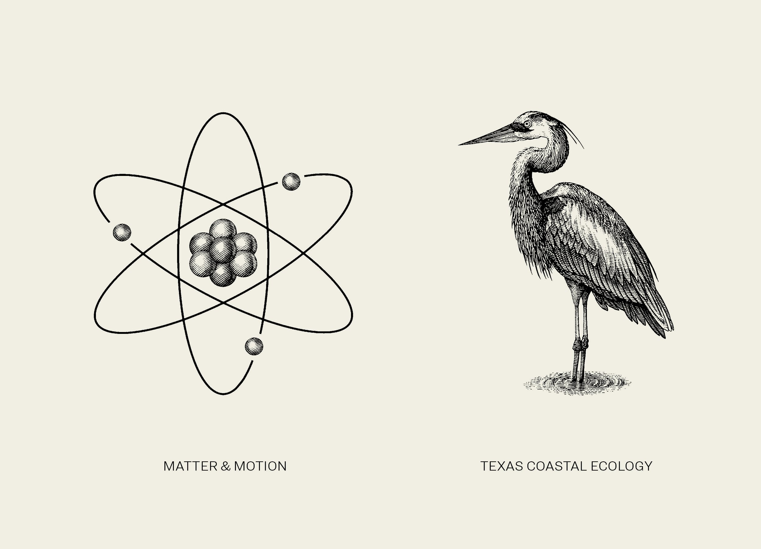 illustrations_atom and egret-tan.jpg