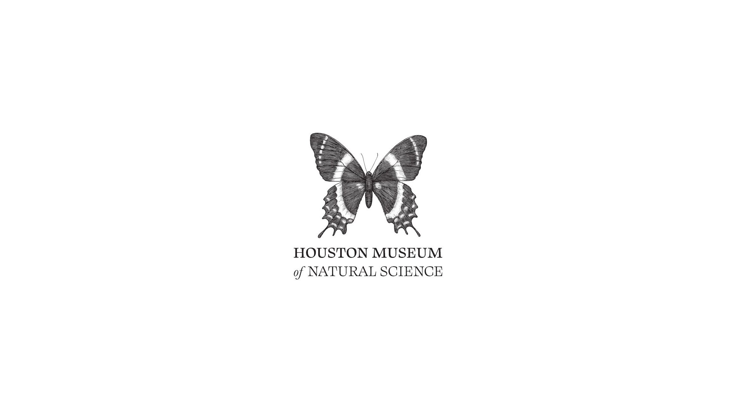 HMNS-Store-Sales-Growth_v2.pptx_Page_01.jpg