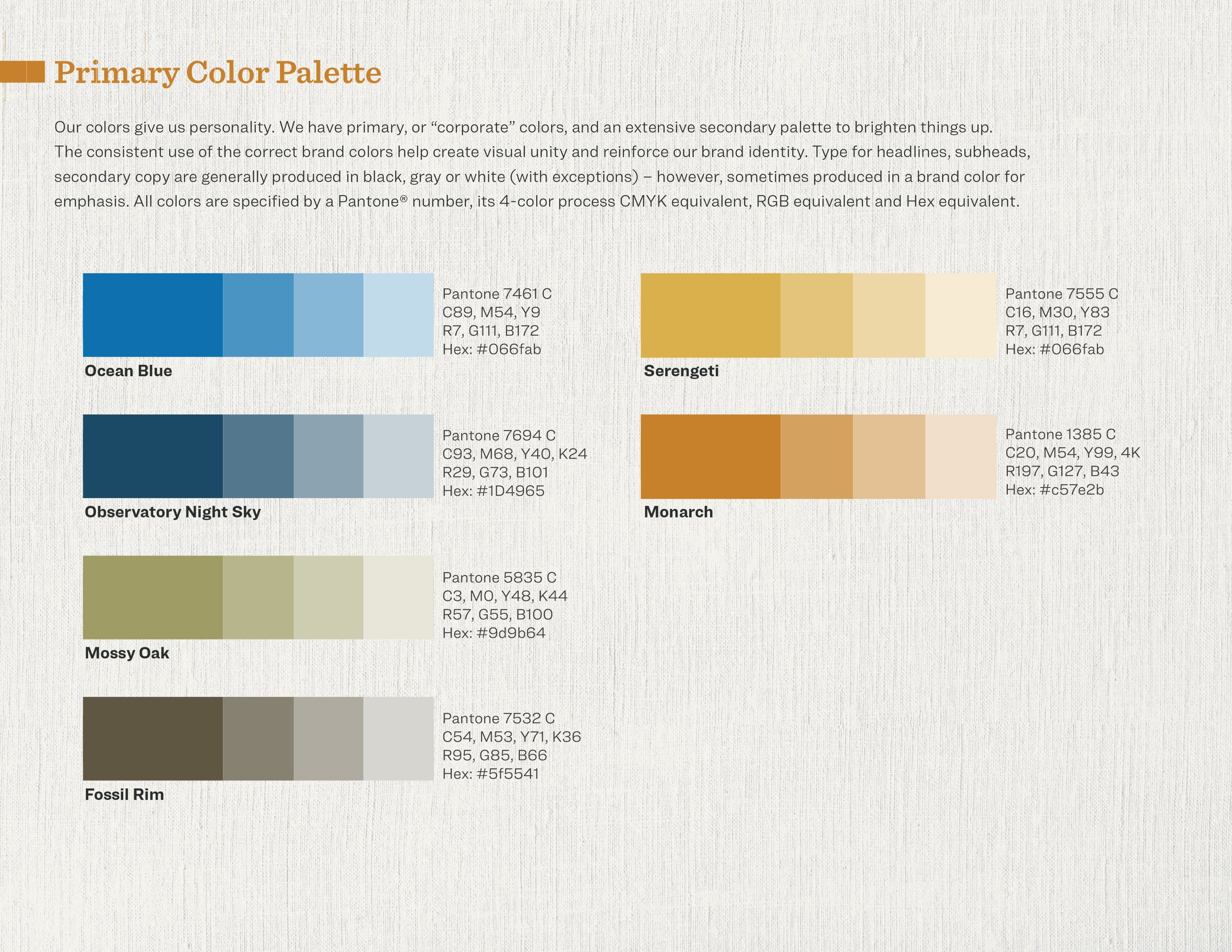 HMNS brand guides_primary-colors55.jpg