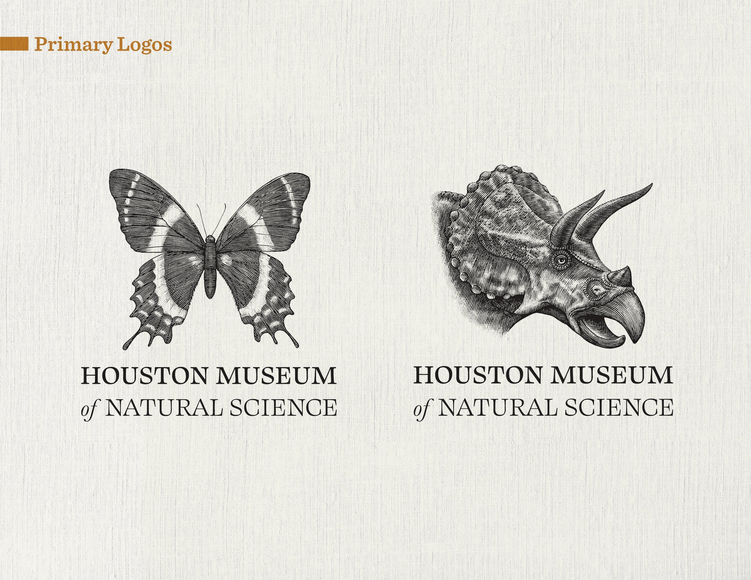 HMNS brand guides-primary-logos55.jpg