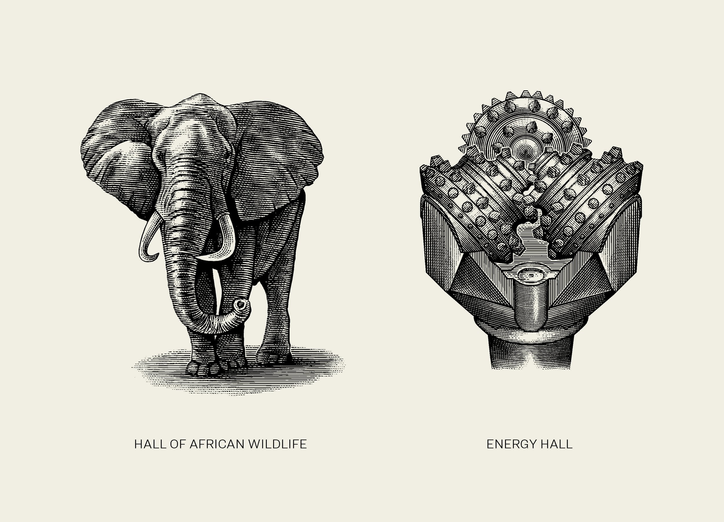 illustrations_elephant-drill-bit-tan.jpg