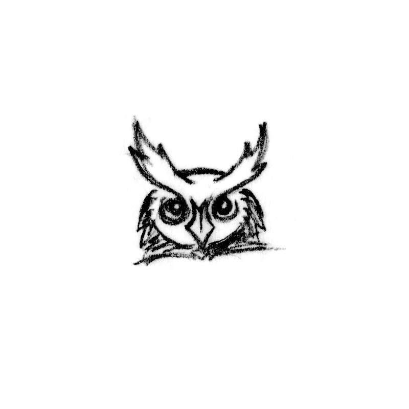 YES_Owl_Animation.gif