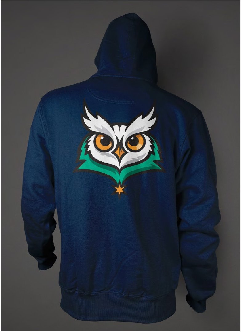 YES Prep_owl-hoodie.jpg