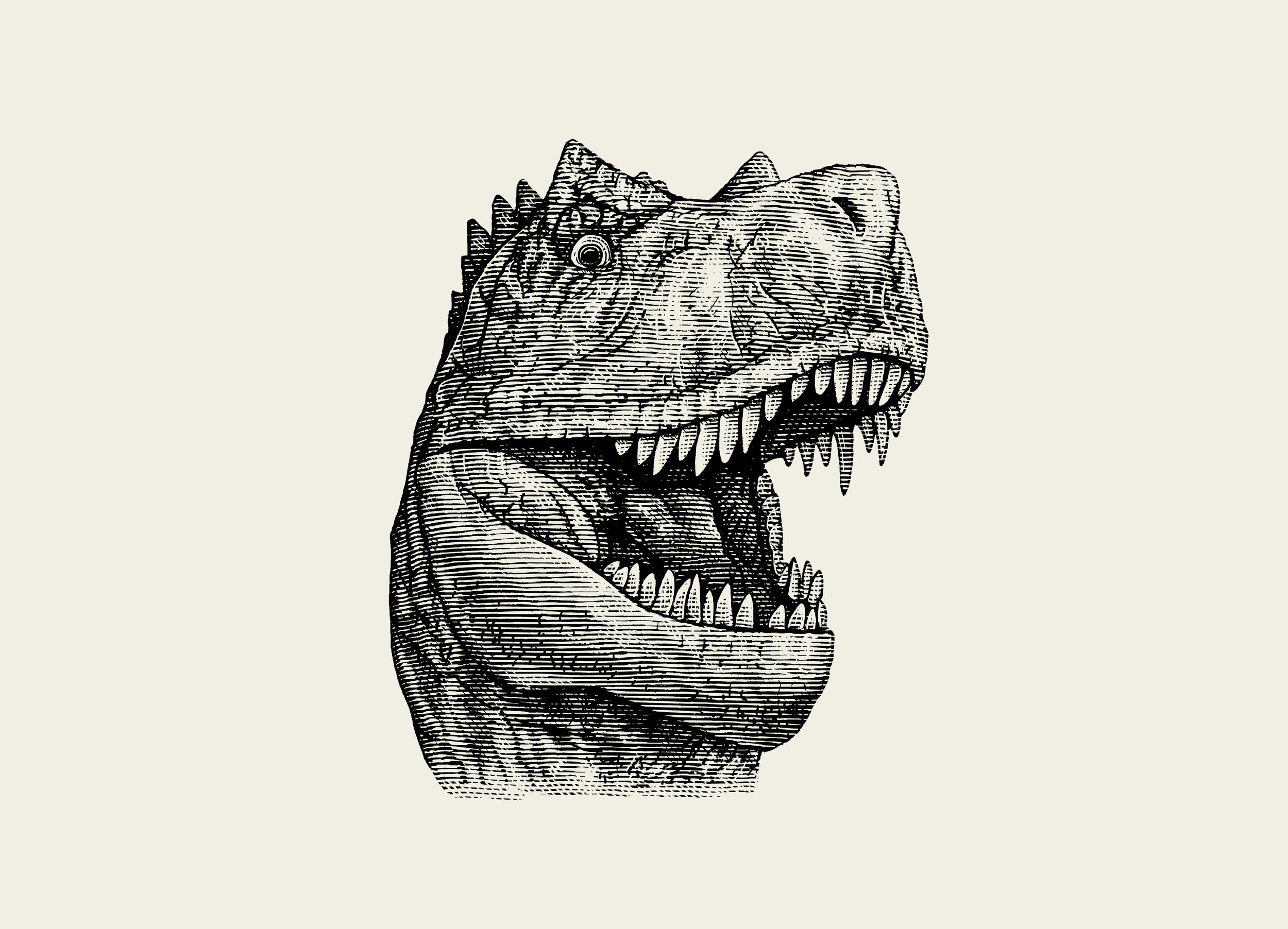 illustration_t rex-tan.jpg