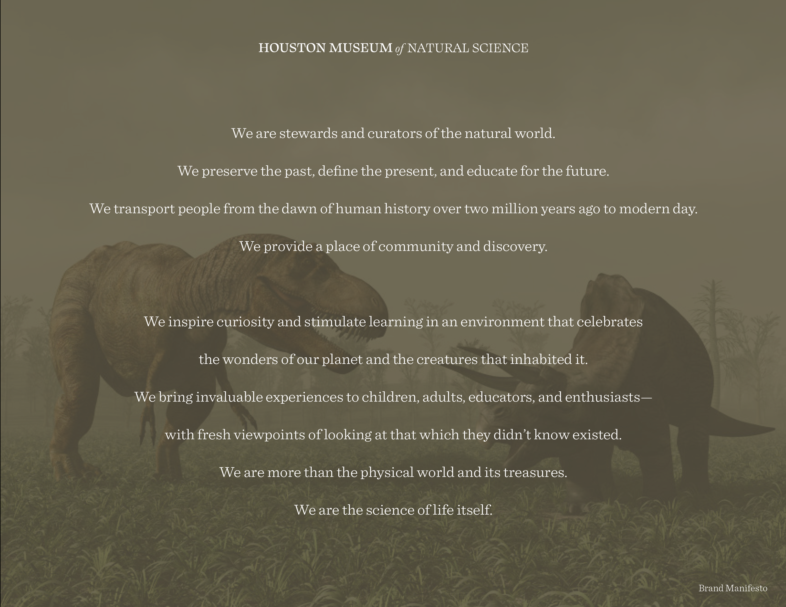 hmns brand manifesto.png