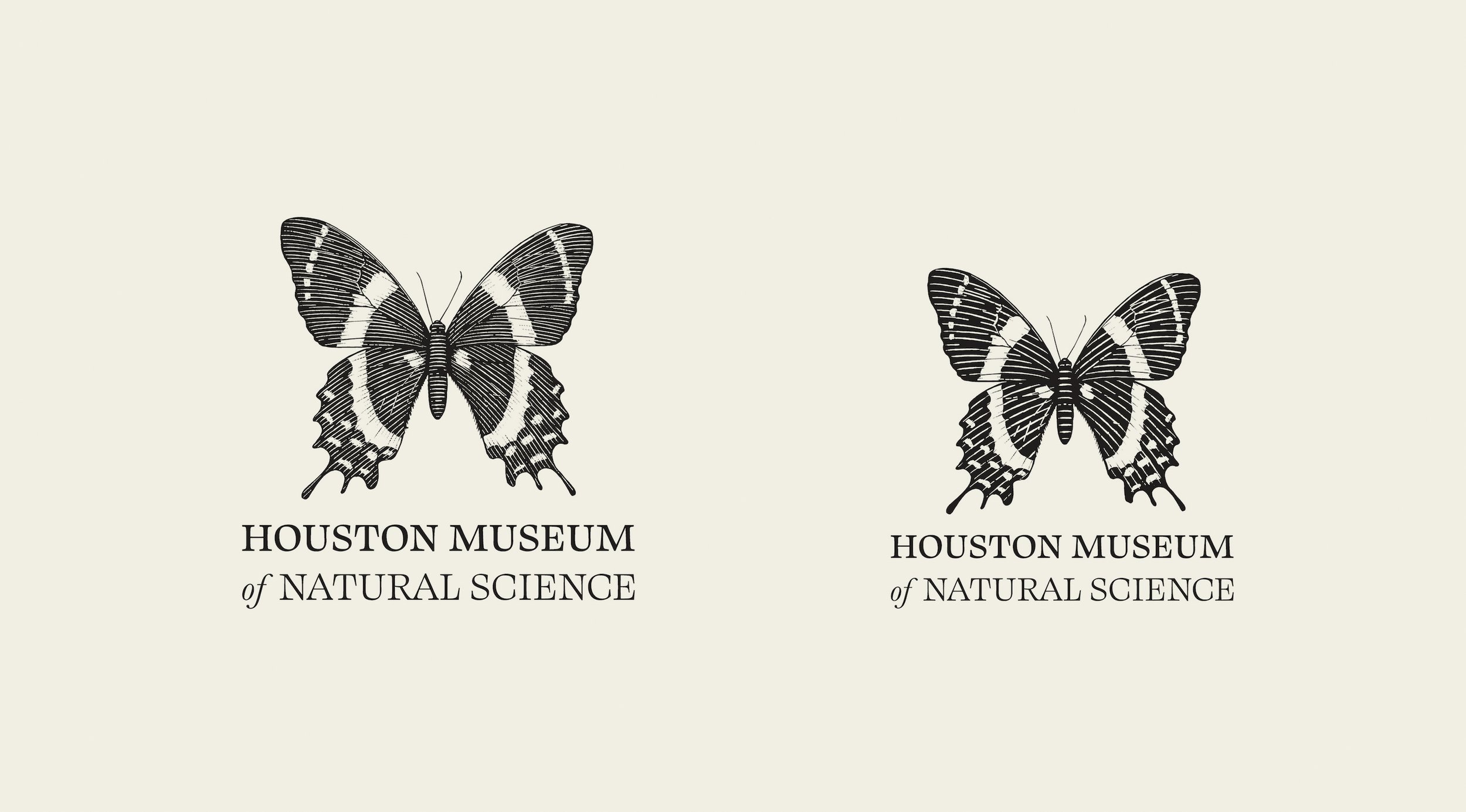Butterfly-med-and-low.jpg