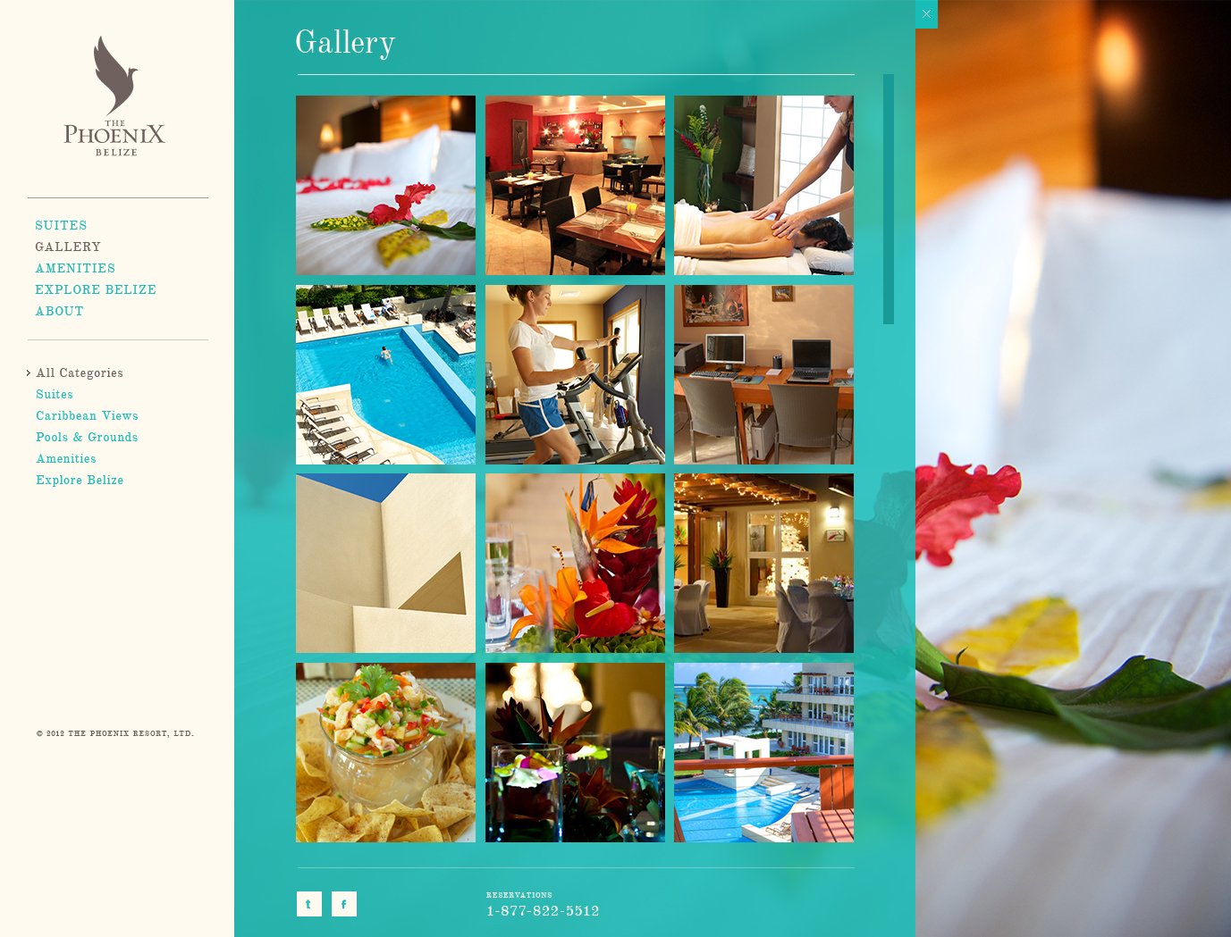 Phx-web1-gallery.jpg