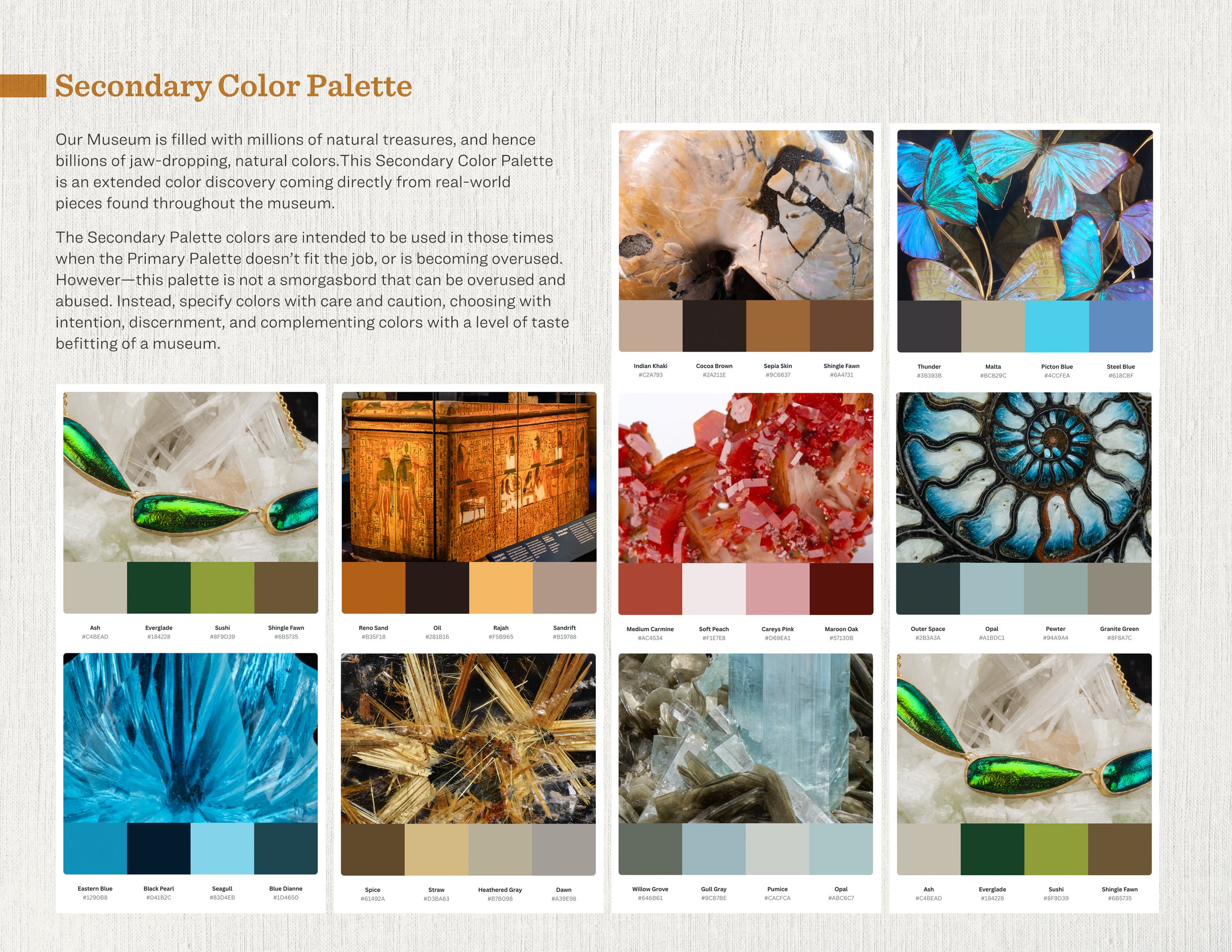 HMNS brand guides_Secondary-palette55.jpg