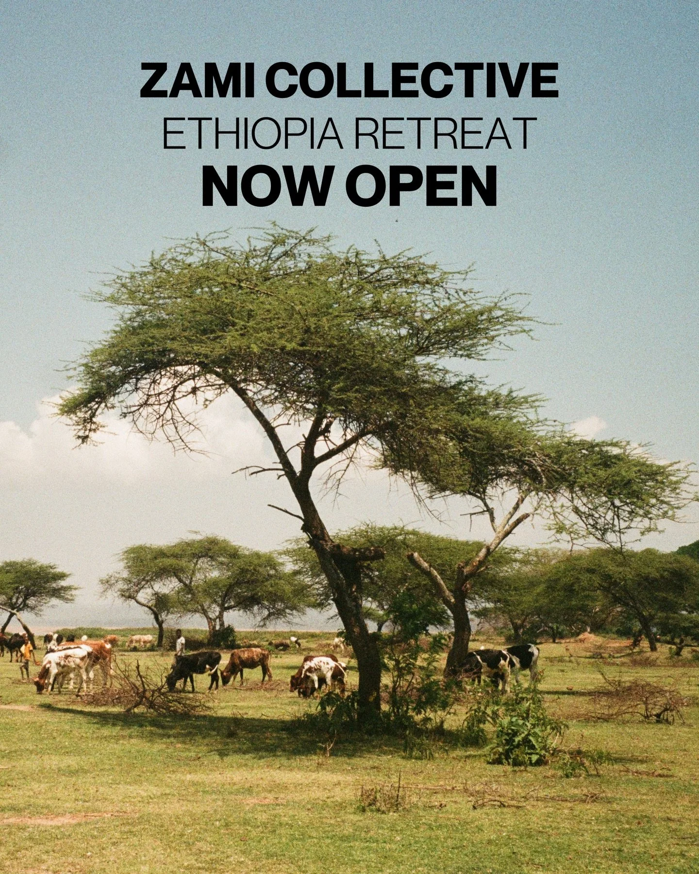 The Ethiopia Retreat, 2026. Registration is now open!

Ethiopia is best characterised by its rich history, for its smooth coffee culture, Tezeta - its nostalgic music, and the Ethiopian jazz scene.

Join Zami Collective in October 2026 as we return t