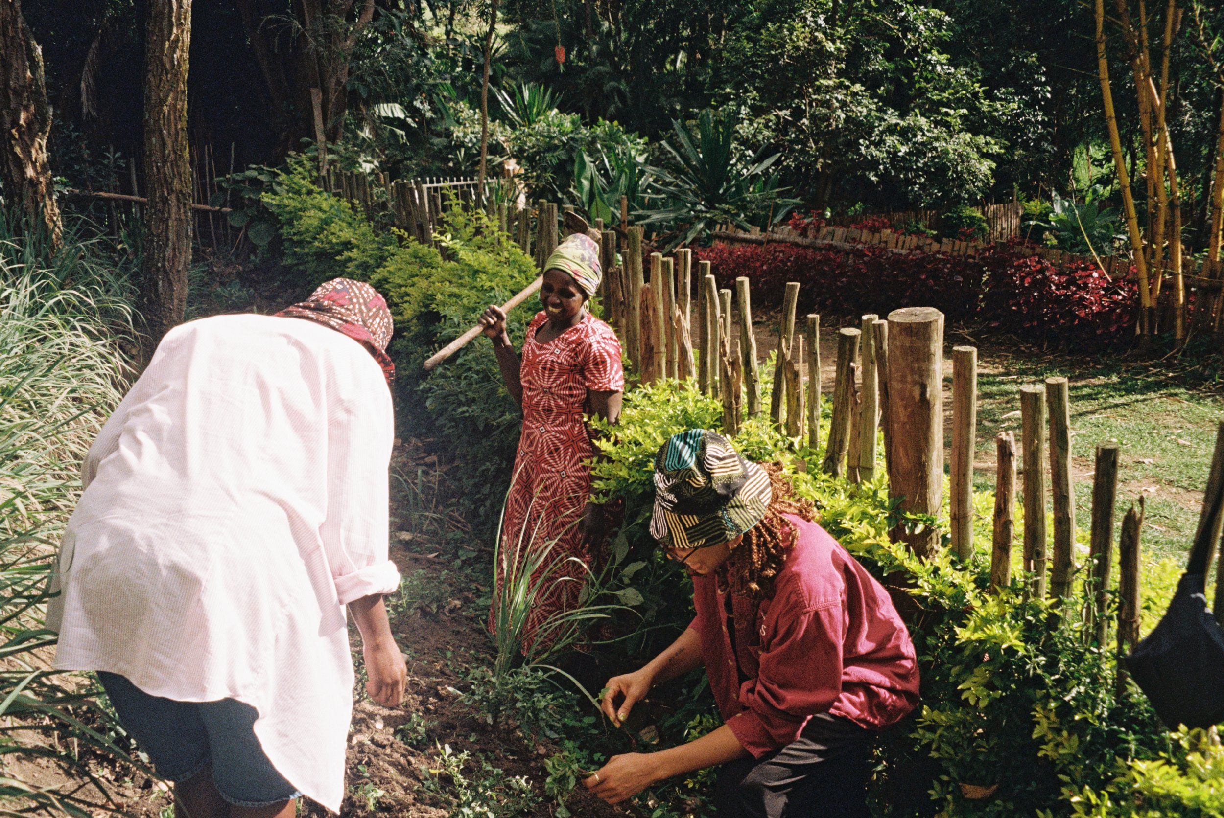 Three women working in a lush garden, planting and tending to the plants amid a wooden fence and tall trees.