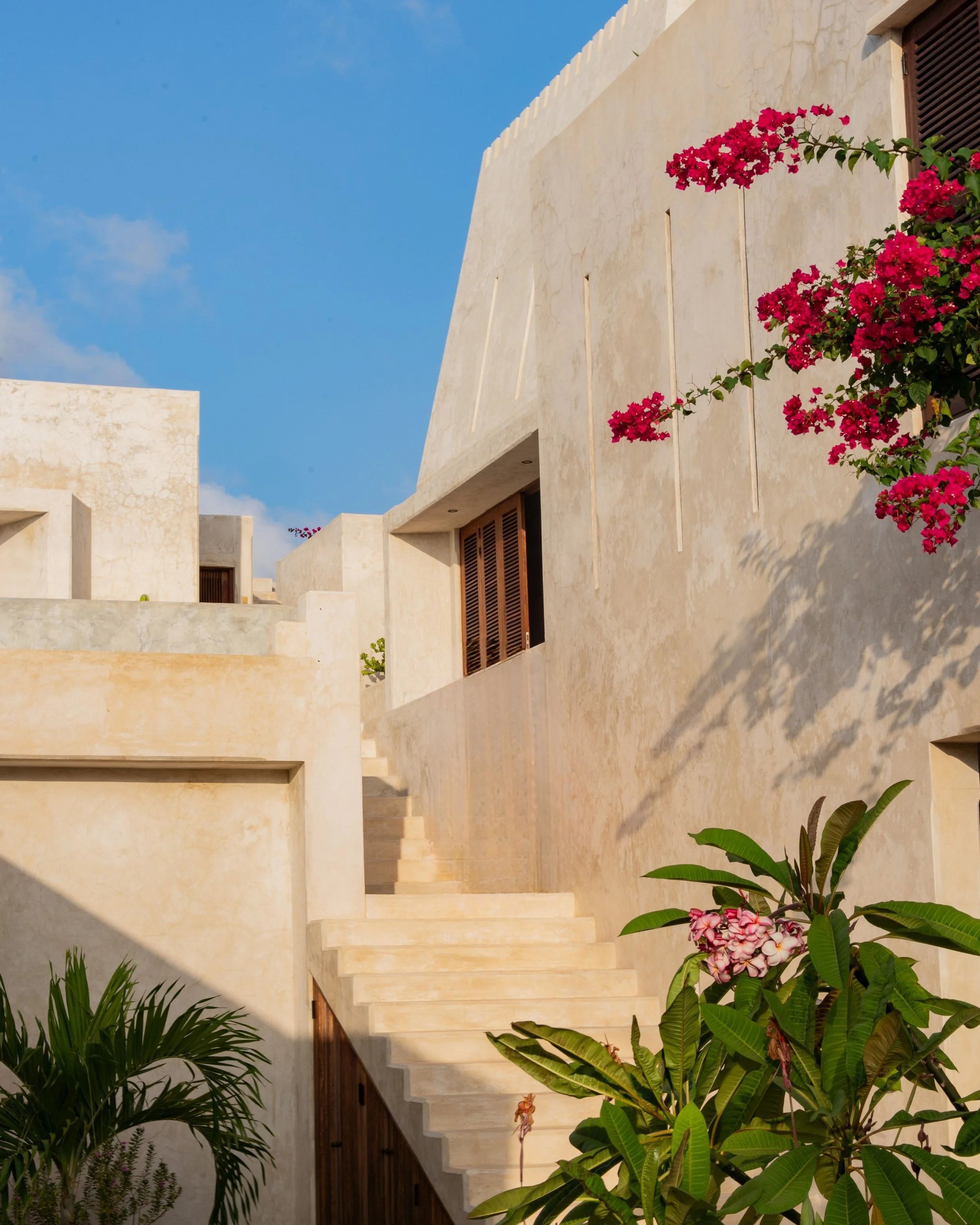 Untitled design (1).jpg